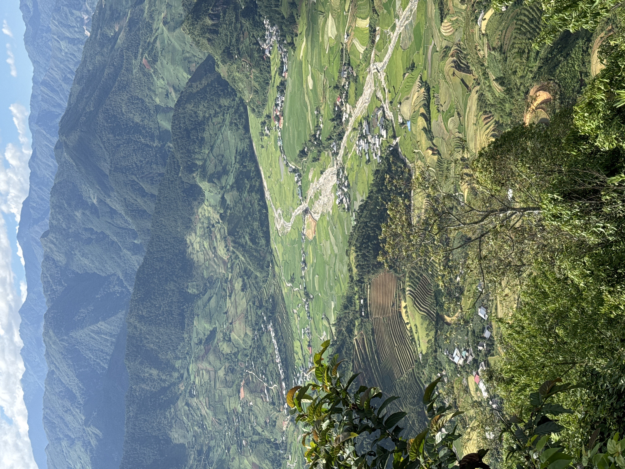 The image captures an expansive, elevated panoramic view of a mountainous agricultural valley in Tu Le, Vietnam. In the immediate foreground, dense green foliage, consisting of tree branches and leaves, partially frames the lower left and bottom sections of the scene. The mid-ground is dominated by a wide valley floor through which a light-colored, winding riverbed traverses. Numerous small villages or clusters of buildings with varying roof colors (red, white, grey) are situated along the riverbanks and interspersed within the valley. The valley floor is extensively cultivated with vibrant green rice paddies, forming irregular geometric patterns. On the surrounding lower mountain slopes and hillsides, elaborate curvilinear terraced fields are evident, showcasing both active green cultivation and some areas of exposed, lighter-toned earth. In the background, multiple layers of heavily forested mountains recede into the distance, gradually appearing bluer and hazier due to atmospheric perspective. The sky at the top is a clear blue with scattered white cumulus clouds. No individual people or specific actions are discernible within the vast landscape.