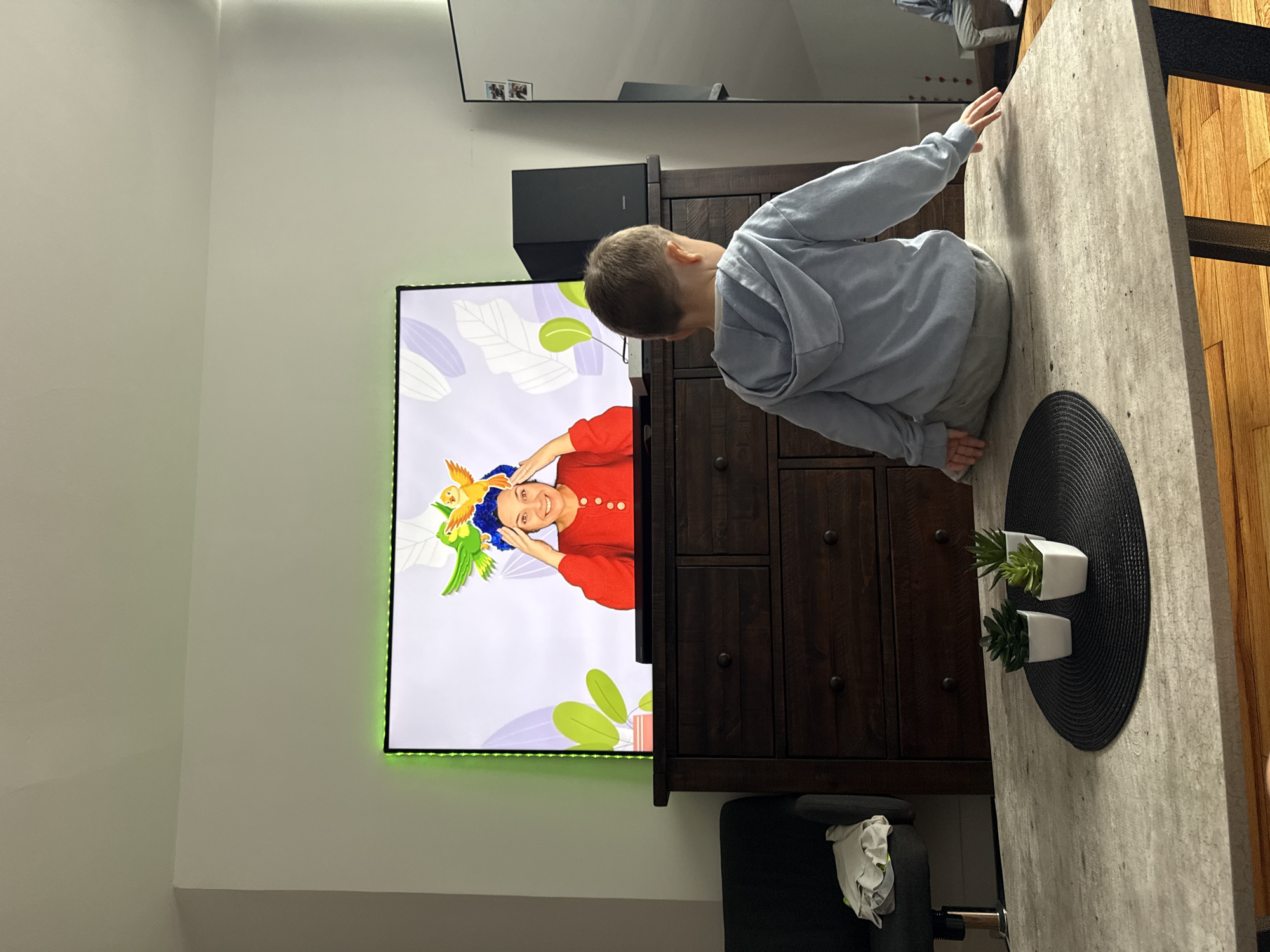 The image shows a young boy, seen from behind, sitting on a table and facing a television screen. The boy is wearing a light blue hooded sweatshirt and light-colored pants. The television displays a woman with blue hair and two colorful birds on her head, wearing a red sweater. The TV is mounted above a dark wood dresser. To the right of the TV is a black speaker. On the table in front of the boy are three small potted plants arranged on a black placemat. The background of the room is mostly white walls, with a black armchair to the left and a tall, reflective surface on the right. The floor appears to be hardwood. The scene is indoors, in what appears to be a living room or similar common area. There is no indication of the location being in New York City, United States of America.