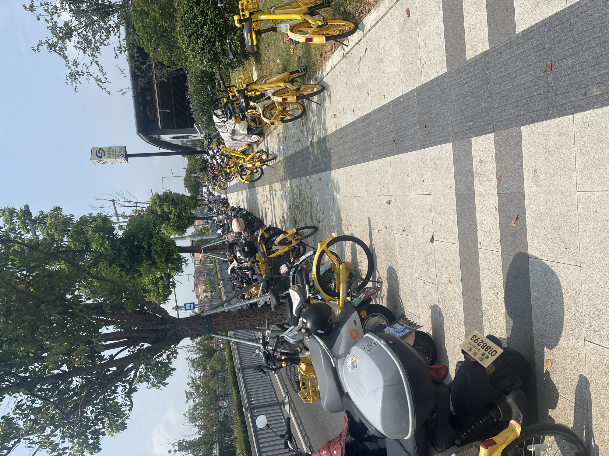 The image captures a street scene in the Suzhou Industrial Park, China, on a clear, sunny day. A row of yellow shared bicycles and electric scooters is parked along a pedestrian walkway. The walkway is paved with light-colored tiles and features a tactile paving strip. Trees line the walkway, and a metal fence separates it from a road. In the background, a modern building with a dark roof and a sign displaying "GS 轨道交通 8 号线 Entrance" indicates a subway station entrance. The environment appears to be urban and well-maintained. No people are visible in the image.
