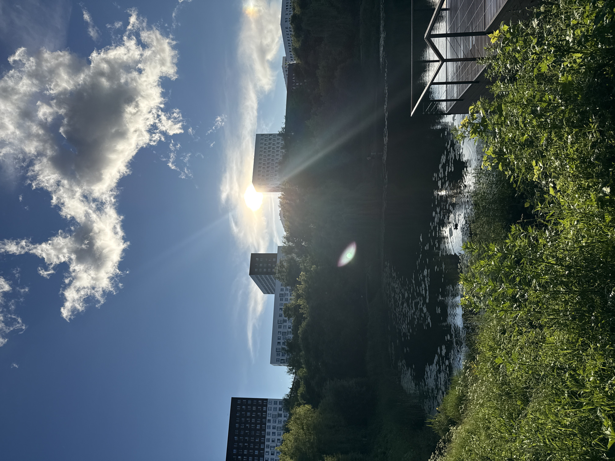 This is a vertical, eye-level, outdoor photograph taken in Moscow, Russia. The scene depicts a waterfront with buildings and lush greenery under a bright, sunny sky. The sun is low in the sky, casting strong rays and lens flares, suggesting it is either early morning or late afternoon. Fluffy white clouds are visible against the deep blue sky.
In the foreground on the right, abundant green vegetation, likely bushes and tall grass, dominates the frame. To the left, a dark body of water reflects the sky and surrounding elements. A wooden deck with railings juts out over the water, adding a man-made element to the natural setting.
In the background, several modern, multi-story apartment buildings rise above a dense canopy of trees. One building is predominantly white with many windows, while another is darker with a pattern of white windows against a dark facade. The buildings suggest an urban or suburban environment, likely a residential area.
The overall mood of the image is serene and tranquil, enhanced by the natural light and the calm water. There is no visible text in the image.