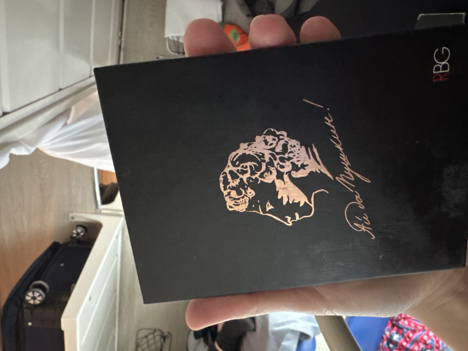 A human hand, with visible fingers and part of the palm, is holding a black rectangular object featuring a copper-toned profile illustration of Alexander Pushkin, facing left. Below the illustration, the Cyrillic text "Ай да Пушкин!" is present in the same copper tone, and the letters "RBG" appear in red and white in the lower right corner. The scene is an interior, specifically located in the city of Gryazi, Russia. In the background, a dark wheeled suitcase rests on a white shelf in the upper left. White fabric is draped in the upper right. A bed or seating area with patterned fabric (red, white, and blue/black) is partially visible in the lower left, indicating a compact accommodation environment, possibly a train compartment.