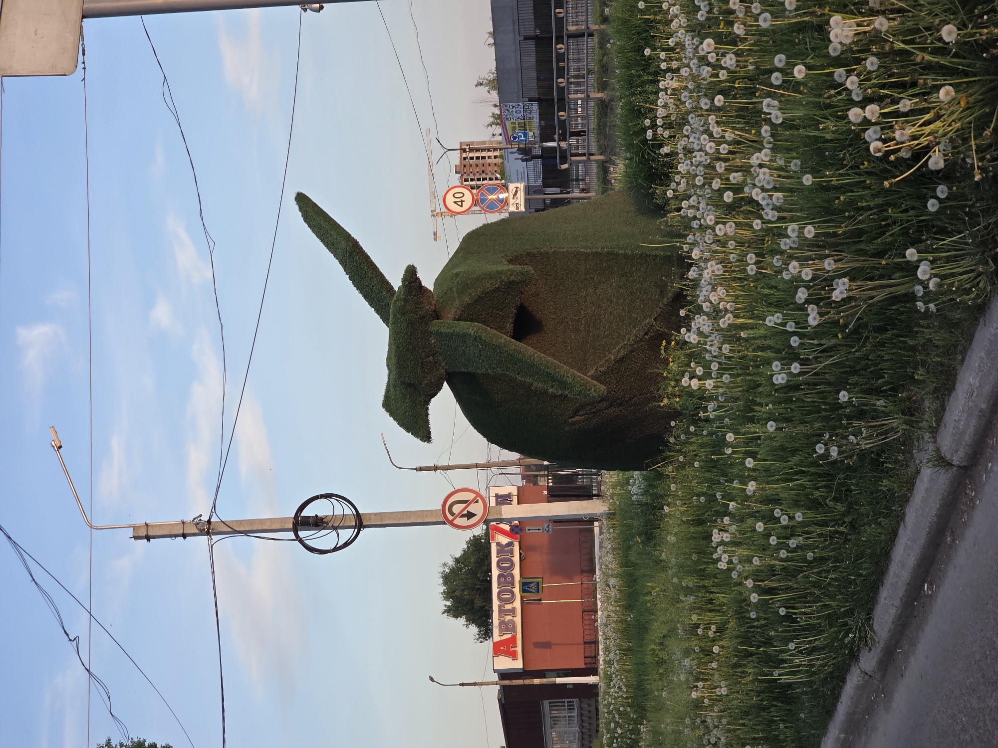 The image shows a topiary sculpture of a MiG-25 fighter jet located in the city of Chaikovsky, Russia. The sculpture is made of green foliage and is situated on a grassy area next to a road. The background includes a building with the word "ABTOBOKZ," which appears to be in Russian Cyrillic script and likely indicates a bus station. There are also road signs visible, including a speed limit sign (40) and a "no U-turn" sign. Dandelions are present in the grassy area around the sculpture. A utility pole with wires is seen against a blue sky with sparse clouds.