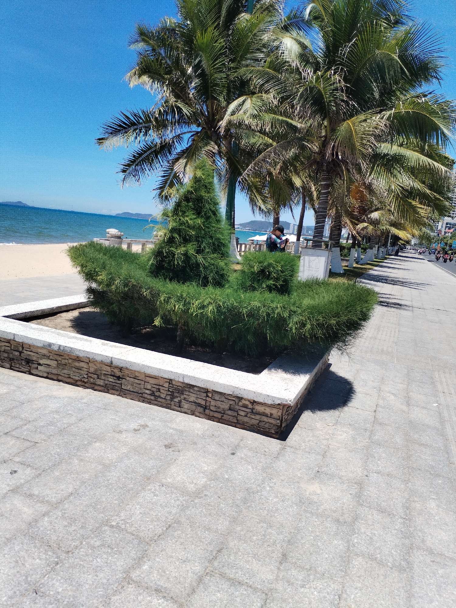 The image shows a street scene in Nha Trang Ward, Vietnam. In the foreground is a raised planter made of brick and concrete, containing green shrubbery sculpted in a tiered form with a conical bush in the middle.
Behind the planter is a sidewalk. Beyond that is a beach with sand and the ocean. In the background, a coastline is visible.
Along the sidewalk, palm trees line the street. A person is standing behind the planter, and further down the street, some motorbikes are visible. The sky is clear and blue.