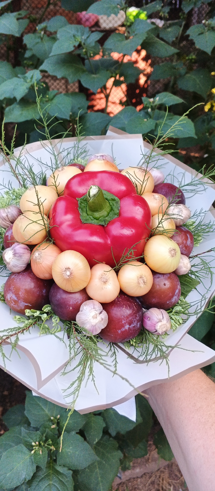 The image shows a bouquet of vegetables and fruits arranged in a bouquet. The bouquet is composed of a large red bell pepper as the centerpiece, surrounded by several yellow onions, purple plums, and garlic bulbs. Green sprigs of foliage are interspersed throughout the bouquet, creating a natural and rustic look. The bouquet is presented in a white paper wrapper, and a person's arm and hand are visible holding it from the right side. The background is blurred, with green foliage and hints of reddish-brown earth visible, suggesting an outdoor setting. The bouquet's arrangement suggests it is a decorative item, possibly for a gift or a special occasion. There is no discernible information about the location in Smila, Ukraine.