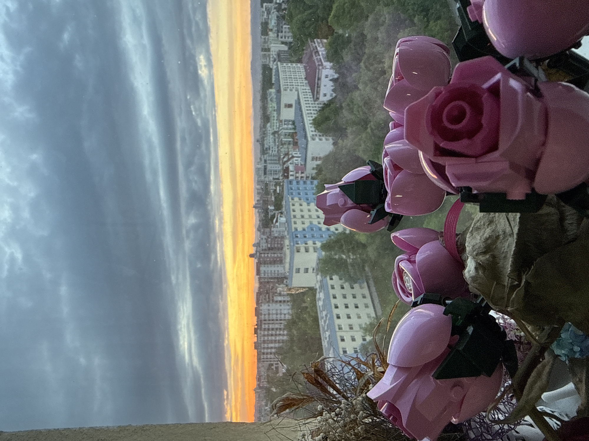 The image presents a view from a high vantage point, potentially a window, overlooking a cityscape that is identifiable as Sofia, Bulgaria due to the architectural style and layout. The foreground features a bouquet of artificial pink roses, made with LEGO bricks and other dried flowers. Behind the flowers, a skyline is visible, illuminated by a sunset or sunrise with hues of orange and yellow in the sky, while the rest of the sky is cloudy and gray. Buildings of varying heights are scattered throughout the city. The overall scene suggests a combination of nature (represented by the flowers) and the urban environment of Sofia, viewed from an elevated perspective during a time of day with dramatic lighting.