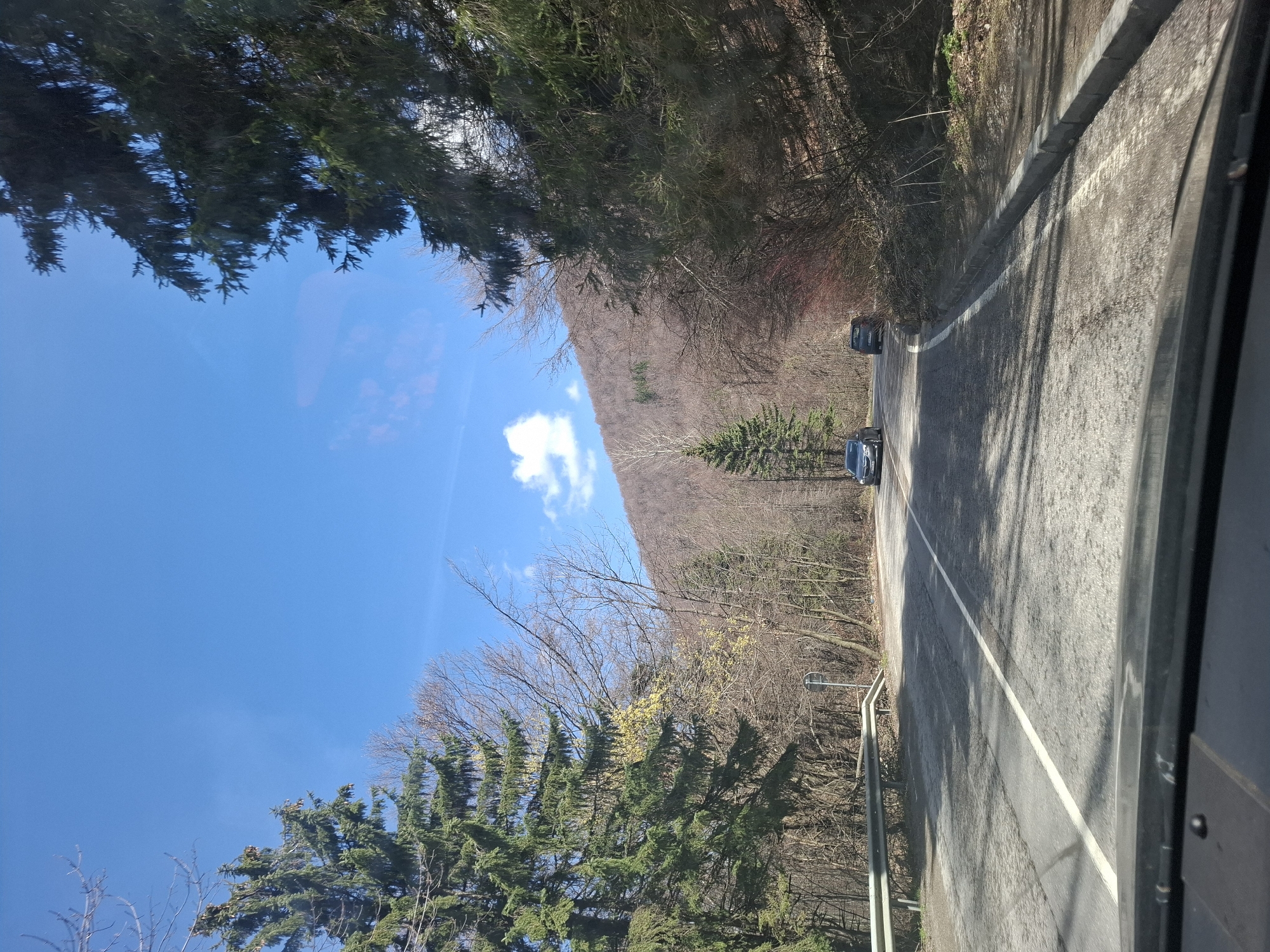 The image depicts a road winding through a forested area. Two dark-colored cars are visible on the road. The trees along the roadside are a mix of evergreen and deciduous varieties, many of the deciduous trees are bare of leaves, indicating it may be late fall or early spring. A hillside covered with similar trees rises in the background. The sky is blue with some scattered clouds. A guardrail is present along the side of the road. The image appears to be taken from inside a vehicle, possibly a bus or truck. The precise location within Barziya, Bulgaria is impossible to determine from visual evidence alone.
