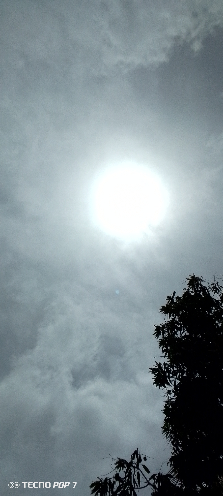 The image presents a view of the sky in Altagracia, Venezuela. The scene is characterized by an overcast sky with a bright sun obscured by a layer of clouds. In the lower right corner of the frame, there is a silhouetted tree with leaves. The sky is mostly grey, with varying shades indicating cloud density. In the bottom left corner, "TECNO POP 7" is printed.