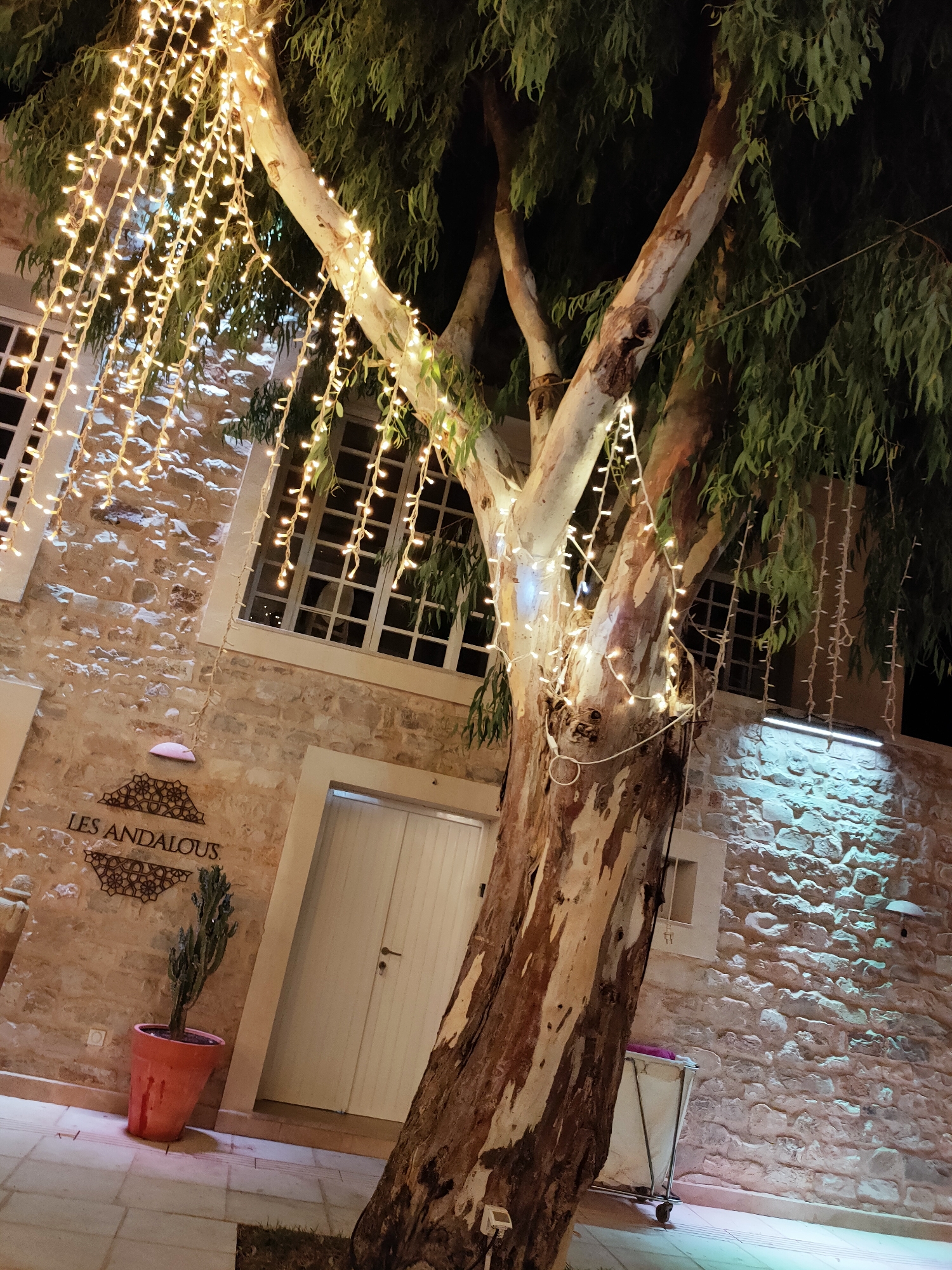 The image depicts the exterior of a building in Cebalat, Tunisia, at night. A large tree with a textured, multi-colored trunk is prominently featured in the foreground, draped with strings of warm-toned LED lights. The building, constructed of rough-hewn stone, has multiple windows with a grid-like pattern and a white door with a handle. A sign with the text "LES ANDALOUS" is affixed to the stone wall. To the left of the door, a tall, slender cactus in a vibrant orange pot stands against the wall. The ground is paved with large, light-colored tiles. The scene is illuminated by the string lights and a cool-toned light source casting a blueish glow on the stone wall and the ground. A white laundry cart with a metallic frame is visible to the right of the door. The overall atmosphere is festive and inviting.