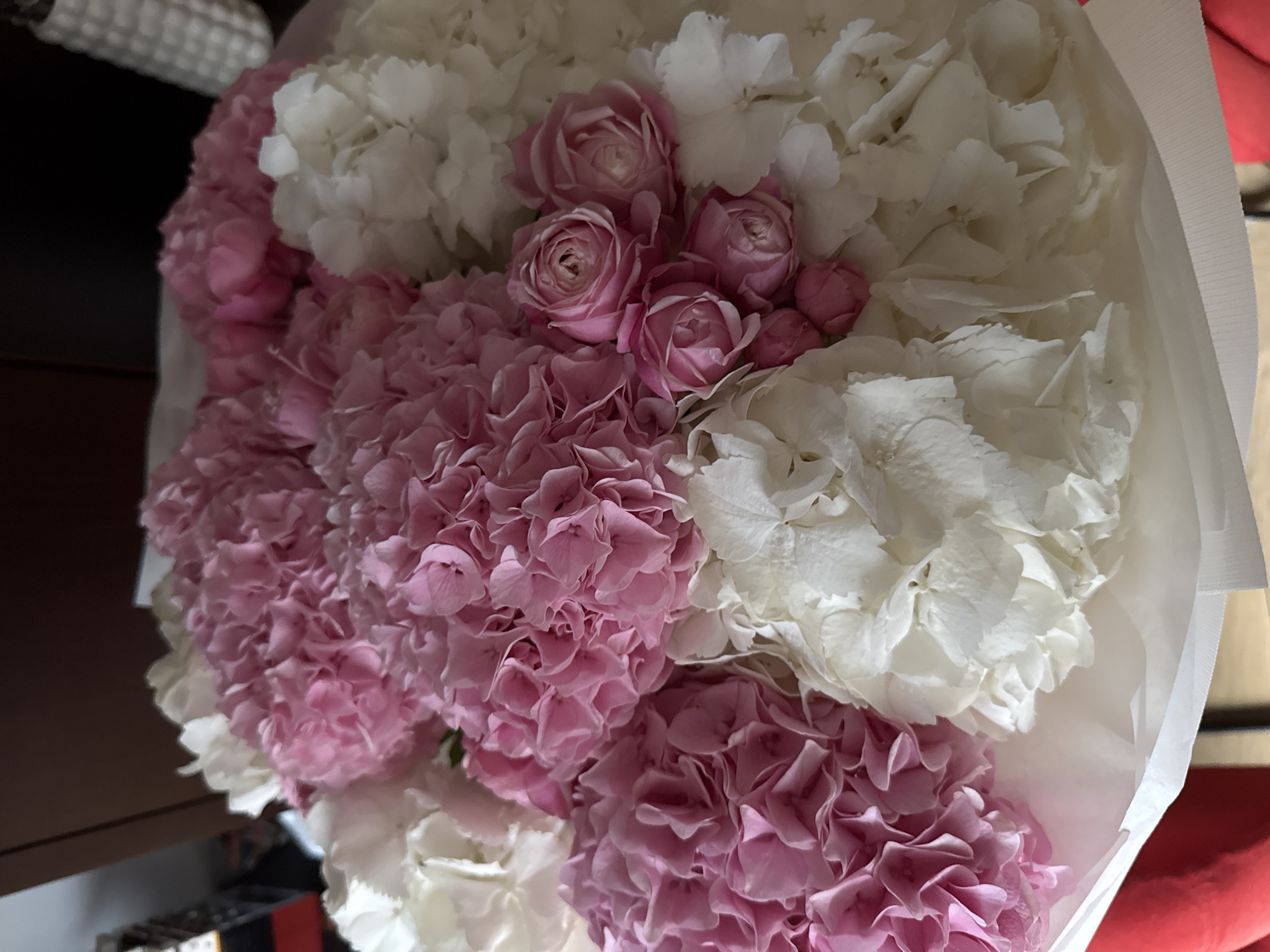 A large, lush bouquet of fresh flowers fills most of the frame, presented from a slightly overhead, close-up perspective. The arrangement prominently features a harmonious blend of pink and white blossoms.
The majority of the flowers are large, voluminous clusters composed of numerous small petals, characteristic of hydrangeas. There are significant sections of soft pink hydrangeas and equally large sections of pristine white hydrangeas, creating a delicate color contrast. Nestled among these larger blooms, particularly in the upper central portion of the bouquet, are several smaller, tightly-budded pink roses, adding a different texture and form to the arrangement.
The bouquet is wrapped in simple white paper or fabric, visible along the right edge and partially on the left, providing a clean frame for the colorful flowers.
The background is largely out of focus, suggesting an indoor setting. On the left side, a dark, blurry surface, possibly wooden furniture, is discernible. A hint of a textured, light-colored object, possibly a woven item, is visible in the far top-left corner. On the right, a touch of a red object, perhaps upholstery or a cushion, can be seen.
The lighting is soft and diffused, highlighting the freshness and textures of the petals. There is no visible text in the image. The overall impression is one of beauty, elegance, and possibly a gesture of appreciation or celebration.