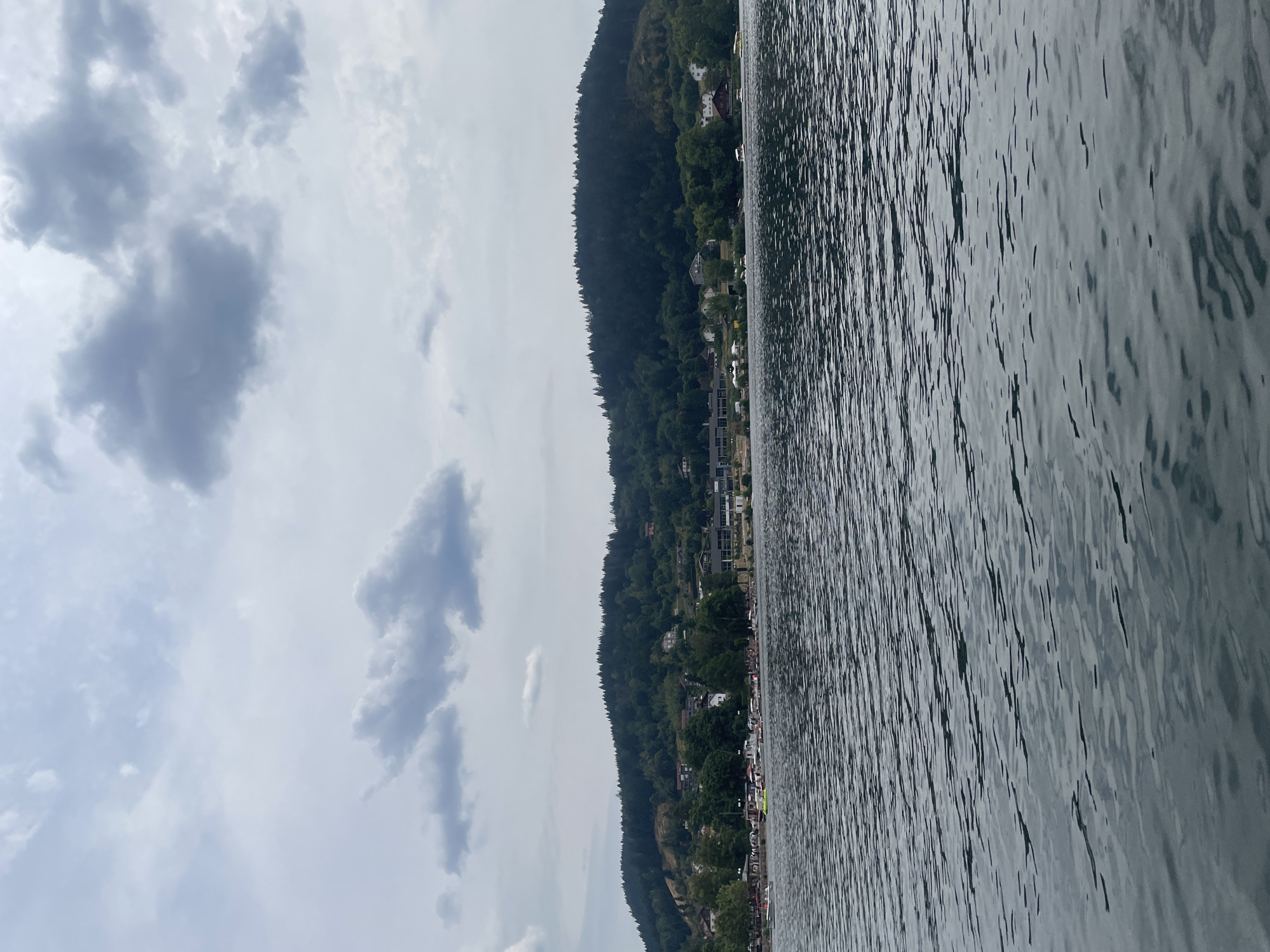 The image captures a serene lakeside scene in Gérardmer, France. The foreground is dominated by the dark, rippling surface of the lake, reflecting the overcast sky. In the midground, a town lines the shore, with buildings of various sizes nestled amongst lush green trees. The structures appear to be a mix of residential homes and possibly commercial establishments, with some exhibiting traditional architecture. Boats are visible on the water, suggesting recreational activity. The background features a verdant, tree-covered hill that rises behind the town, forming a natural backdrop. The sky is filled with a layer of diffused clouds, casting a soft light over the landscape.
