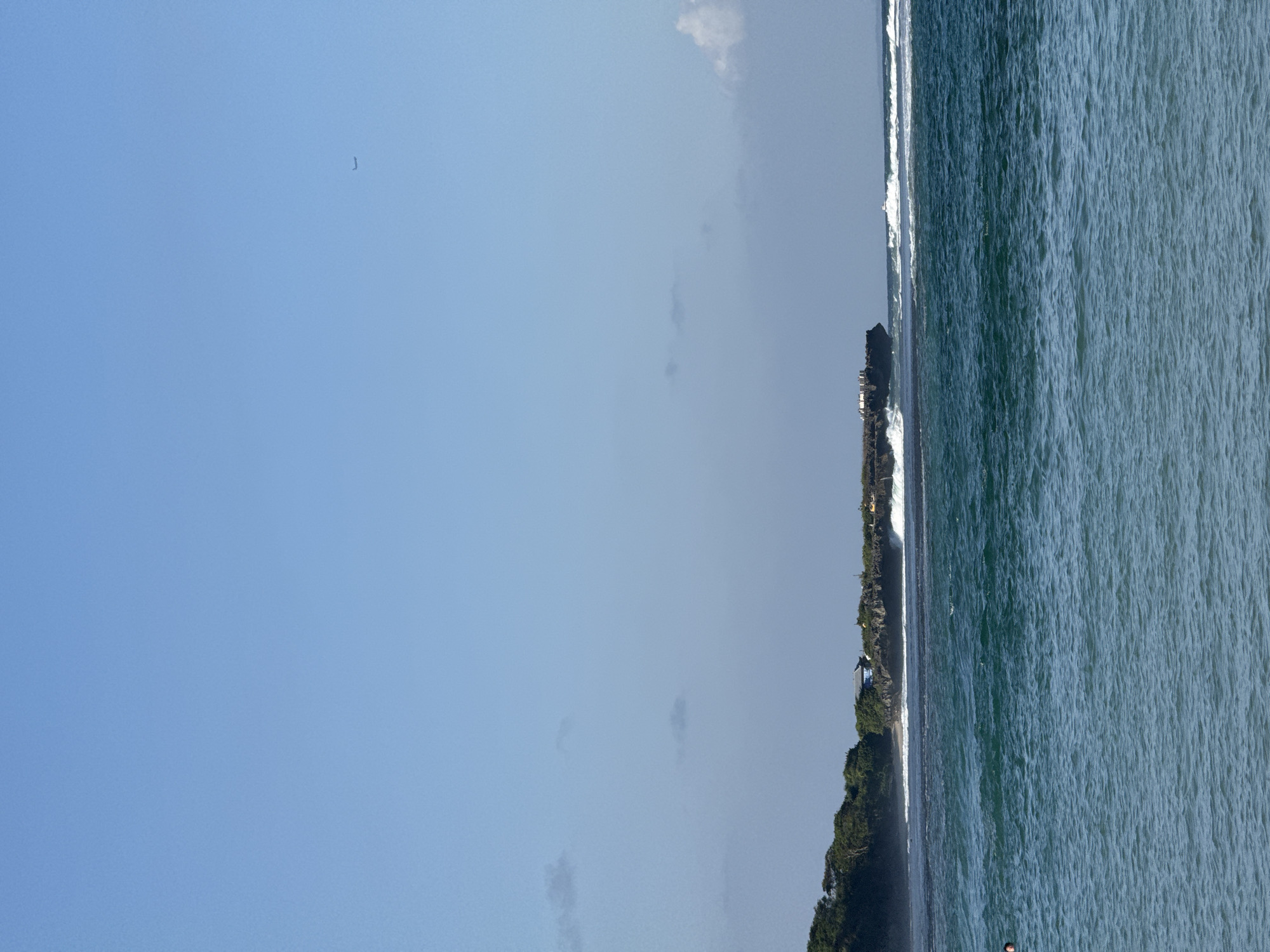 The image presents a wide, horizontal view of a vibrant coastal landscape under bright daylight. The upper portion of the frame is dominated by a clear, light blue sky with only a few faint, wispy clouds visible. In the top-left section of the sky, a small, dark, 'J'-shaped object, possibly a bird or a distant drone, is discernible.
Separating the sky from the water is a strip of land covered with dense, lush green vegetation, suggesting tropical trees and foliage. This coastline appears to be an elevated area or a cliff. Along this landmass, particularly on a rocky outcrop extending into the ocean, several light-colored buildings are visible, possibly forming part of a temple complex or traditional structures, consistent with the Kuta Selatan region of Indonesia. Further along the coastline, closer to the viewer's right, a smaller building with a distinctive blue roof can be seen nestled among the trees.
The lower half of the image is filled by the expansive, deep blue-green ocean. Its surface is characterized by numerous ripples and active white-crested waves, especially prominent closer to the shore. In the bottom-right corner of the ocean, a very small human figure, partially submerged, suggests someone swimming or engaging in water activities like surfing.
The time of day appears to be midday or early afternoon, marked by the brilliant natural light and the clear, sunny weather. The overall scene conveys a sense of serene natural beauty and a popular tropical coastal environment. There is no visible text in the image.