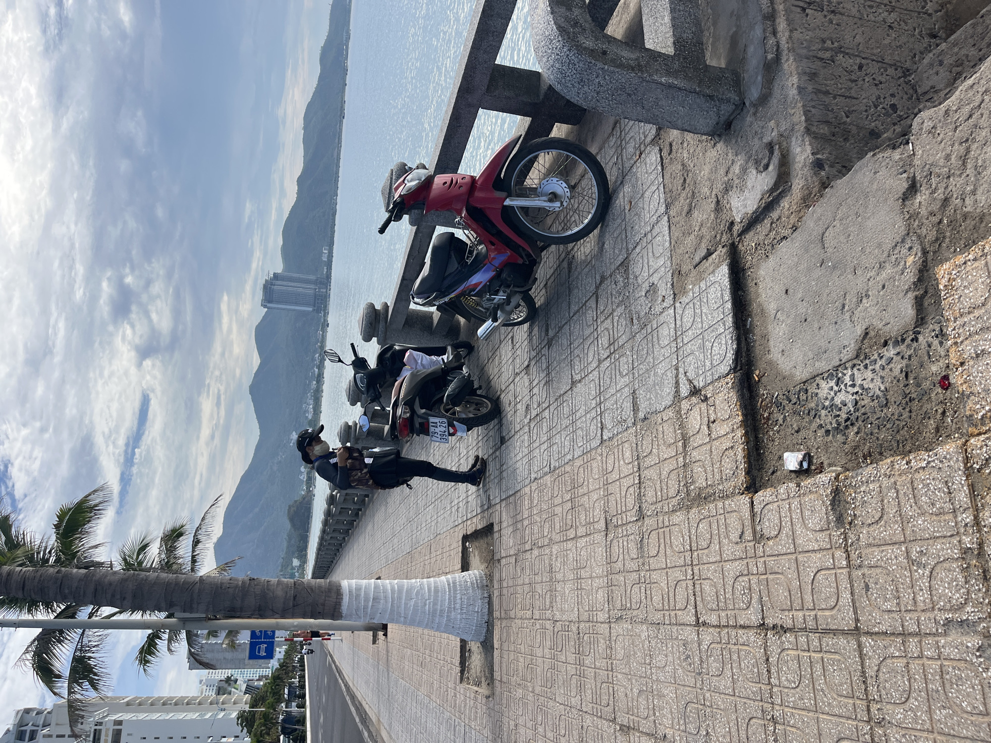 Captured in the city of Bac Nha Trang Ward, Vietnam, the image presents a scene on a tiled walkway bordering the sea. The foreground features a mature palm tree with its trunk painted white, a detail contrasting with its natural texture. Adjacent to the tree, a man stands near several parked motorbikes, appearing to be interacting with one of them. The bikes are neatly arranged alongside a concrete barrier, which provides a safety measure between the walkway and the ocean. In the distance, a hazy mountain range forms the backdrop, while a large building stands tall amidst the urban landscape. The sky is covered with patchy clouds. The scene is well-lit, indicating daylight conditions.