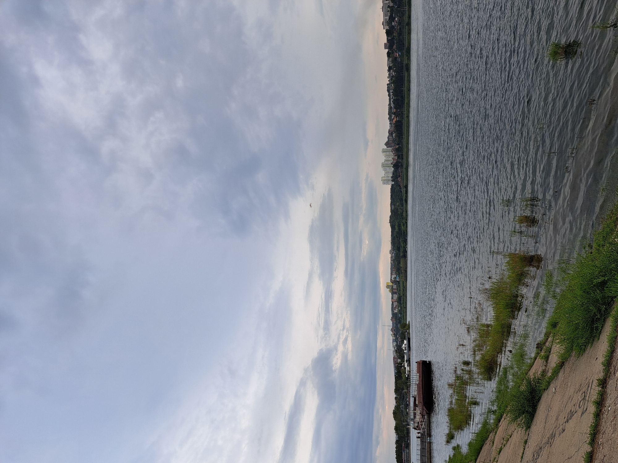 The image depicts a wide river flowing through an urban landscape under an overcast sky. On the left bank, a concrete embankment leads to a dock with a barge moored. The water's surface is rippled, and green vegetation grows along the water's edge and partially submerged. Across the river, a distant cityscape with buildings of various heights is visible, nestled against a tree-lined horizon. The overall atmosphere is muted due to the cloudy weather. This scene is likely along the Angara River in Irkutsk, Russia, given the characteristic urban and natural elements.