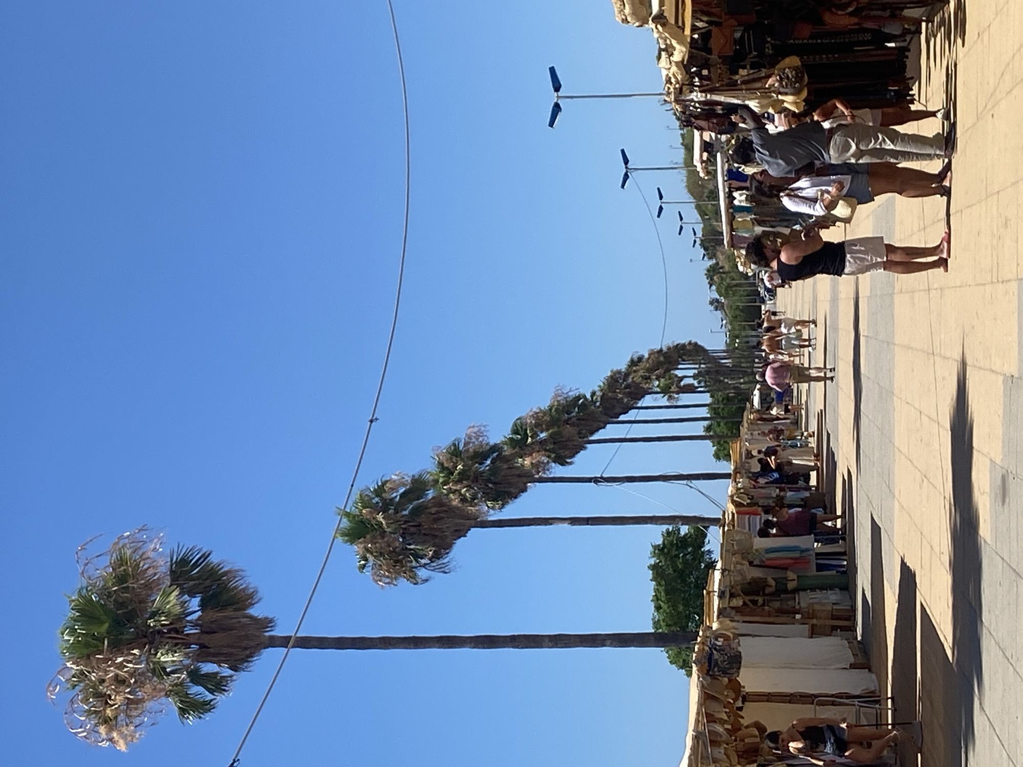 The image depicts an outdoor market scene on a bright, sunny day in Conil De La Frontera, Spain. A row of palm trees lines the left side of a pedestrian walkway, leading towards the background. Stalls are set up along the walkway, displaying various goods such as clothing and accessories. Several people are browsing the stalls or walking along the path. In the foreground, a group of three individuals, two women and a man, are engaged in conversation, with the man holding a smartphone. Further down the walkway, other individuals are visible, some walking and others interacting with the market stalls. The sky is clear blue. The ground is paved with light-colored tiles. The scene conveys a typical bustling atmosphere of a seaside market.