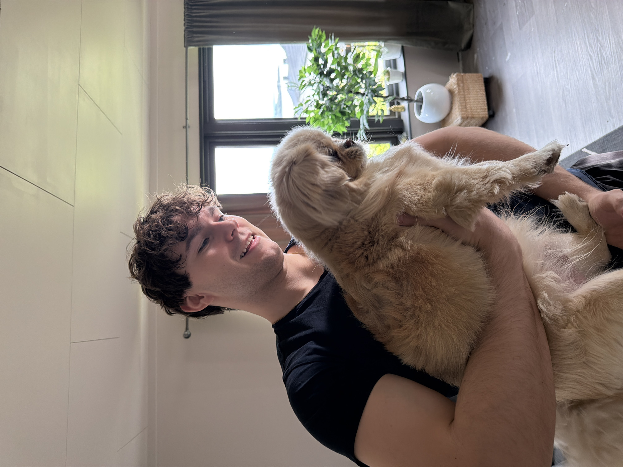 A young man with curly brown hair, wearing a black t-shirt, is holding a small, fluffy, light-brown dog. The man is smiling and looking down at the dog, which is facing to the right. They are indoors, with a window in the background showing a bright outdoor scene with greenery and houses. A potted plant sits on a windowsill, and dark curtains frame the window. The room has light-colored walls and a light-colored ceiling with linear elements. The floor appears to be wood-patterned. The overall impression is a casual, indoor portrait. No specific location in Harstad, Norway, can be determined from the image.