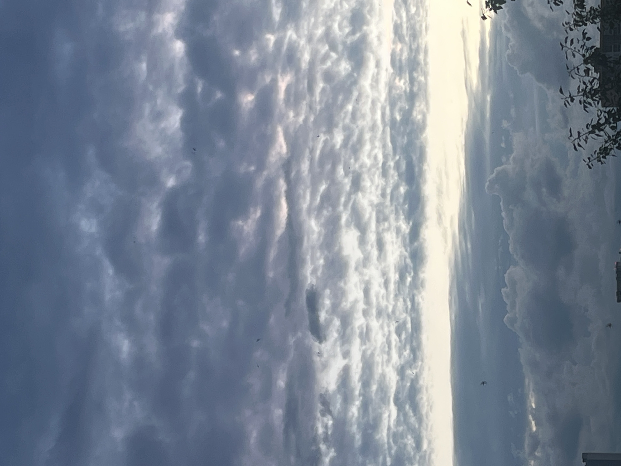 The image shows a sky filled with clouds, with some buildings visible at the bottom. The clouds are dark gray and blue, with some lighter areas where the sun is breaking through. There are several small, dark specks in the sky that appear to be birds. The buildings at the bottom are dark and indistinct, and there are some trees in the foreground on the right side of the image. The image appears to have been taken during the daytime, likely in the late afternoon or early evening, given the lighting conditions and cloud formations. The overall mood of the image is somewhat somber and overcast.