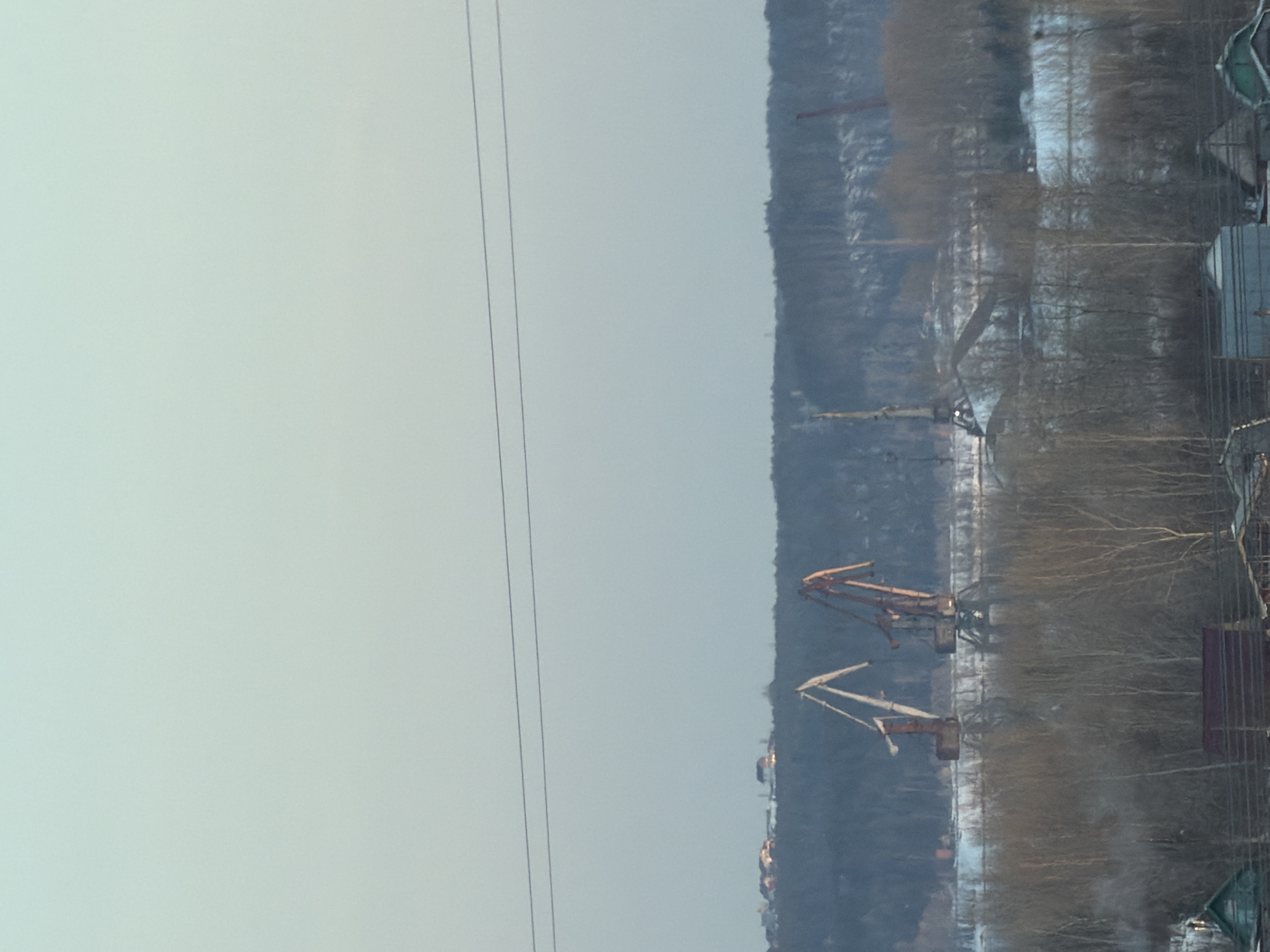 This image presents an expansive winter landscape in Noviy, Russia, under a pale, overcast sky. Two thin, dark horizontal power lines are visible in the upper third of the frame.
The distant background consists of a dark, dense treeline indicative of a forest, stretching across the horizon. Above this treeline, on a far ridge, several faint structures, possibly residential or small buildings, are visible, some exhibiting subtle highlights.
The mid-ground features an industrial zone, prominent for its large cranes and snow-covered terrain. On the left, a light-colored (off-white or pale beige) gantry crane stands with its jib angled upwards. Immediately to its right is a larger, reddish-brown gantry crane, also with its jib extended. Further right, within the industrial area, other dark, indistinct structures and equipment are present, including a third crane-like element and a distant reddish vertical structure. Patches of snow are visible throughout this industrial area.
The mid-foreground is characterized by a dense stand of leafless deciduous trees with light-colored bark, their bare branches forming an intricate network and partially obscuring the view of the industrial zone.
The immediate foreground reveals parts of several low-lying structures. On the far left, a section of a building with a green-colored, pitched roof is visible. Near the center, a structure with a reddish-brown roof is present. Further to the right, a gray, possibly corrugated metal structure is partially seen, alongside another building with a green-colored roof on the far right. The ground in the foreground is also partially covered in snow. No individuals or active movements are discernible within the captured scene.
