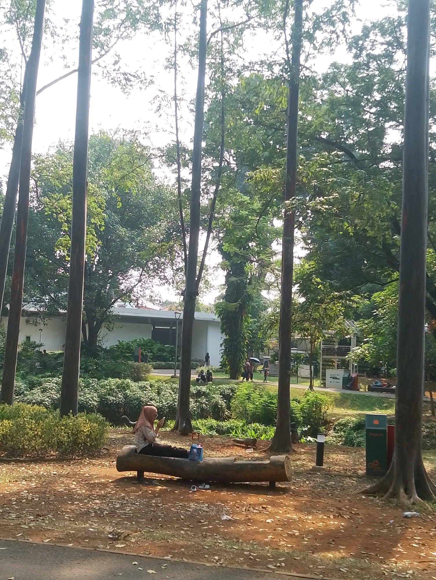 A daytime, medium shot captures a serene park scene in South Jakarta, Indonesia, dominated by tall, slender trees with lush green foliage. In the foreground, a woman wearing a pink hijab and a patterned shirt is seated on a large, rustic log bench, looking at her phone. Beside her on the bench is a blue water bottle. Two white sneakers are placed on the ground near the bench. The ground is covered with dry leaves and dirt, with a paved path visible in the lower left corner. In the background, a white building with a gray roof is partially visible, surrounded by dense green bushes and manicured gardens. Several other individuals are scattered throughout the park, some walking, some sitting, suggesting a public recreational space. A green trash bin with an orange lid stands near the right side of the image. The overall atmosphere is peaceful and natural.