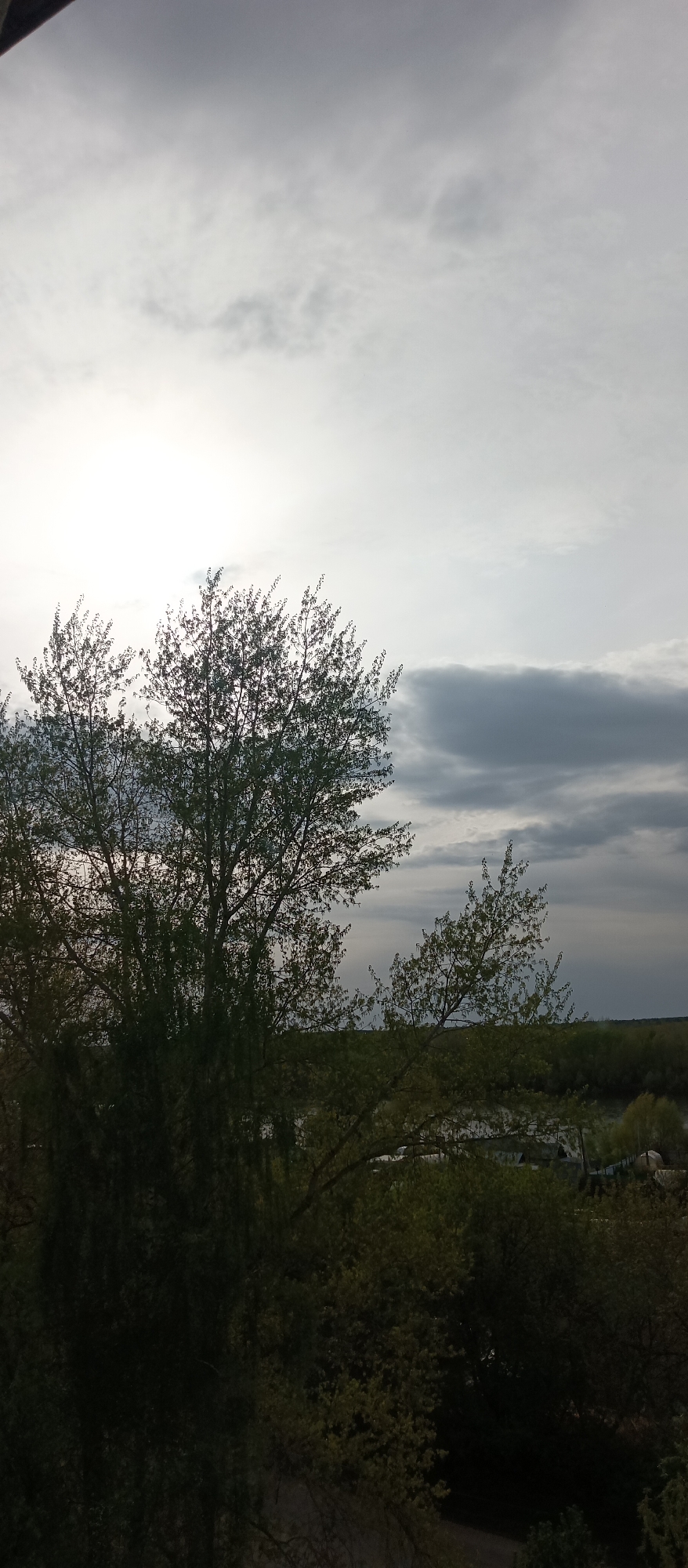 The image shows a view of trees and the sky. The sky is overcast with varying cloud cover. A tree with delicate branches and budding leaves is the focal point, with dense foliage beneath. In the distance, there is a horizon line with what appears to be a mix of forested area and buildings. The location is indeterminate, and there are no people, subjects, actions, or interactions visible in the image. The environment is natural and overcast.