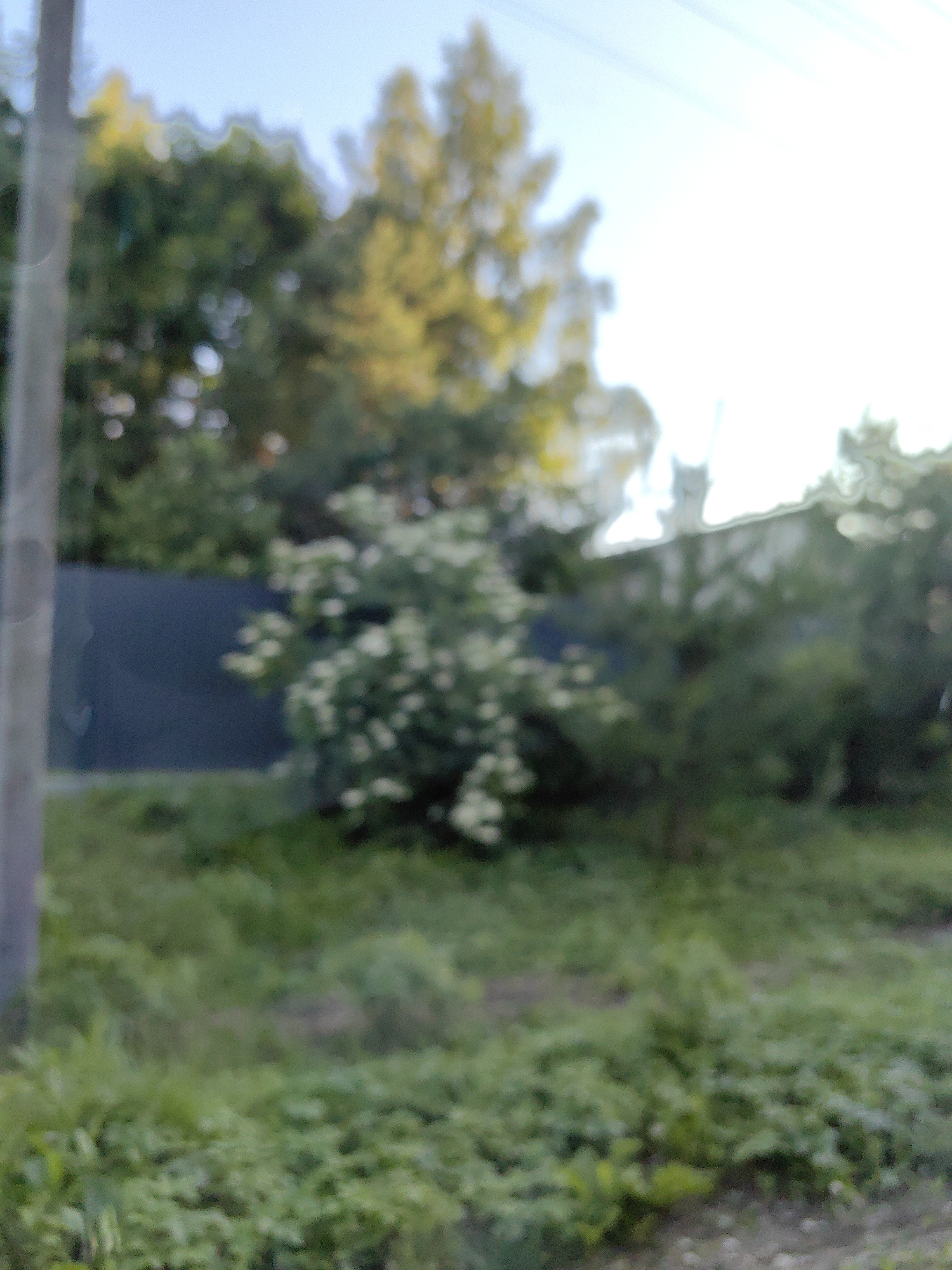 The image depicts an outdoor scene with a focus on vegetation and structures, captured with a shallow depth of field resulting in a blurred effect. In the foreground, a patch of green grass and foliage is visible, extending across the lower portion of the frame. A thin, vertical pole, possibly a utility pole or fence post, is situated on the left side of the image.
Behind the grassy area, a dark, horizontal fence runs across the midground. To the right of the fence, a flowering bush with small white blossoms is prominently featured. Further into the background, a building with a light-colored roof is partially obscured by trees. The upper portion of the image shows a clear sky, with hints of sunlight filtering through the leaves of the trees. The overall impression is that of a somewhat overgrown yard or park area, possibly located near a residential or utility area. The exact location in Дзямідавіцкі сельскі Савет, Belarus, cannot be definitively determined from the visual information alone.
