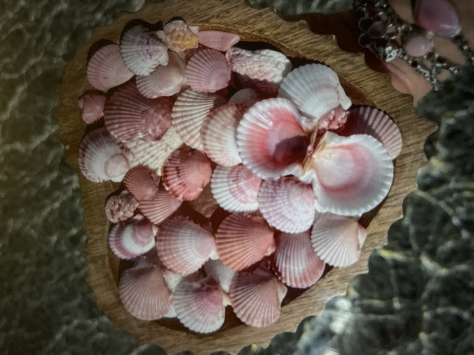 A collection of pink and white seashells is arranged in a heart-shaped wooden dish. The dish is placed on a dark, speckled surface, possibly marble. A hand with pink nail polish and a ring with various stones is visible on the right side of the frame, partially obscuring the dish. The lighting is dim, casting shadows on the shells and dish.