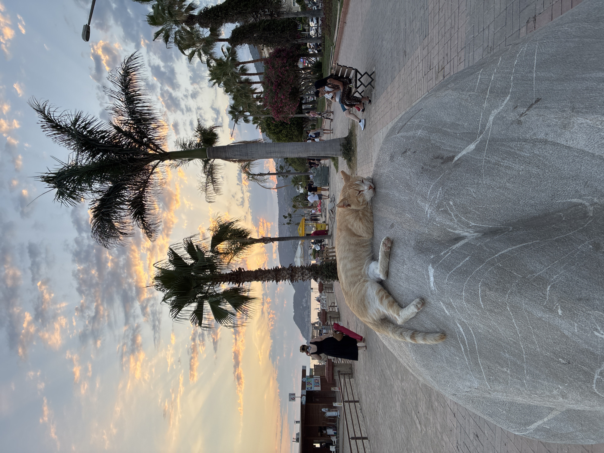 An orange tabby cat is sleeping on a large, grey rock in the foreground. The cat is facing to the right, with its eyes closed and its body stretched out. In the background, a beach promenade is visible, lined with palm trees and people walking. The sky is a mix of blue and orange, with clouds and sun rays, suggesting it is sunset. There are several buildings and structures along the promenade, including beach huts and a cafe. The general location is the beach promenade in Alanya, Turkey, known for its scenic sunsets and coastal views.