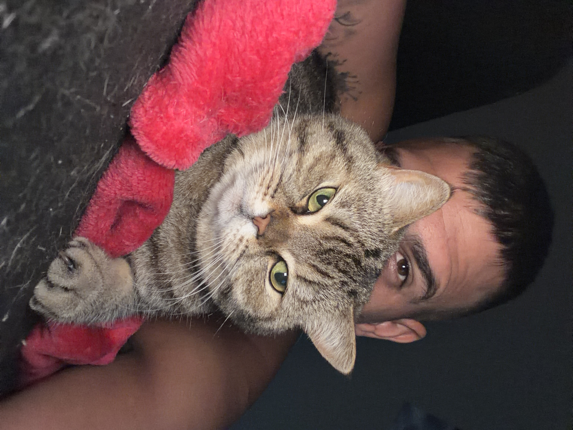 A close-up, tilted shot features a brown tabby cat lying on top of a man, who is also looking into the camera. The cat's paw rests on a red, fuzzy object. The man's head, visible from the eye up, is located on the right side of the frame. A tattoo is seen on the man's arm, partially visible in the background. The setting appears to be indoors, with a dark background. There is no indication of the city of Sofia, Bulgaria, in the image.