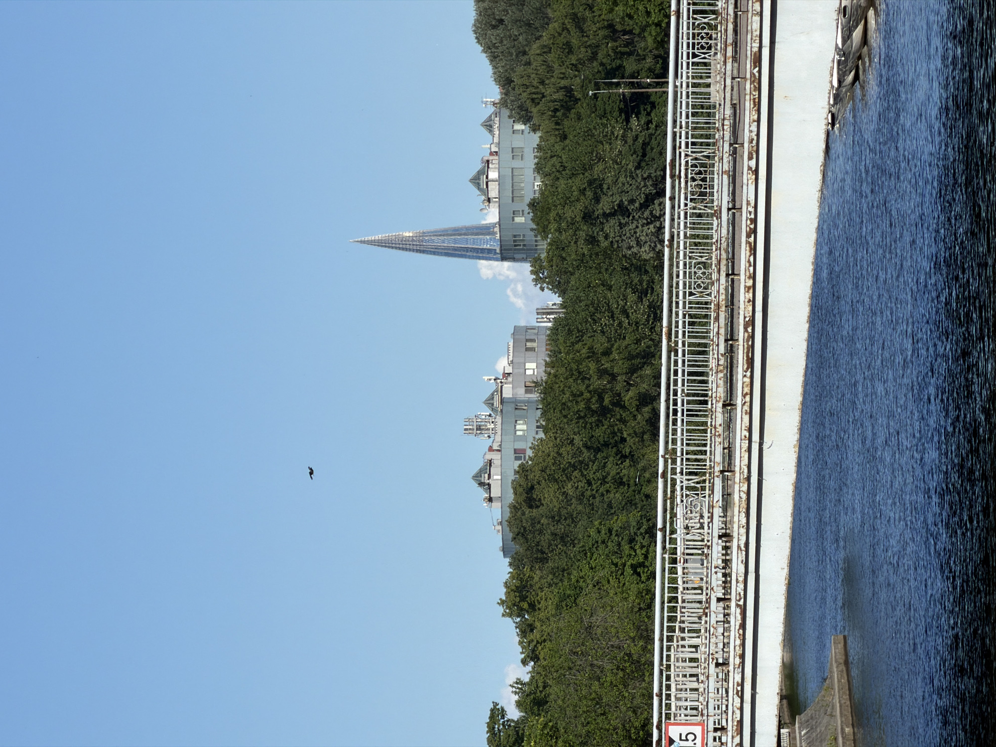 The image depicts a clear blue sky over the Neva River in Saint Petersburg, Russia. In the foreground, a white bridge with a rusted railing spans across the water. The bridge has a sign with the number "1.5" on it. Beyond the bridge, a dense green forest obscures the lower portions of several modern buildings. Prominent among these buildings is the Lakhta Center, a strikingly tall, needle-shaped skyscraper with a glass facade, which dominates the skyline. To the left of the Lakhta Center are lower, block-like buildings with geometric roof designs. A lone bird is visible flying in the upper left portion of the sky. The overall scene suggests a sunny day in an urban environment where nature and modern architecture coexist.