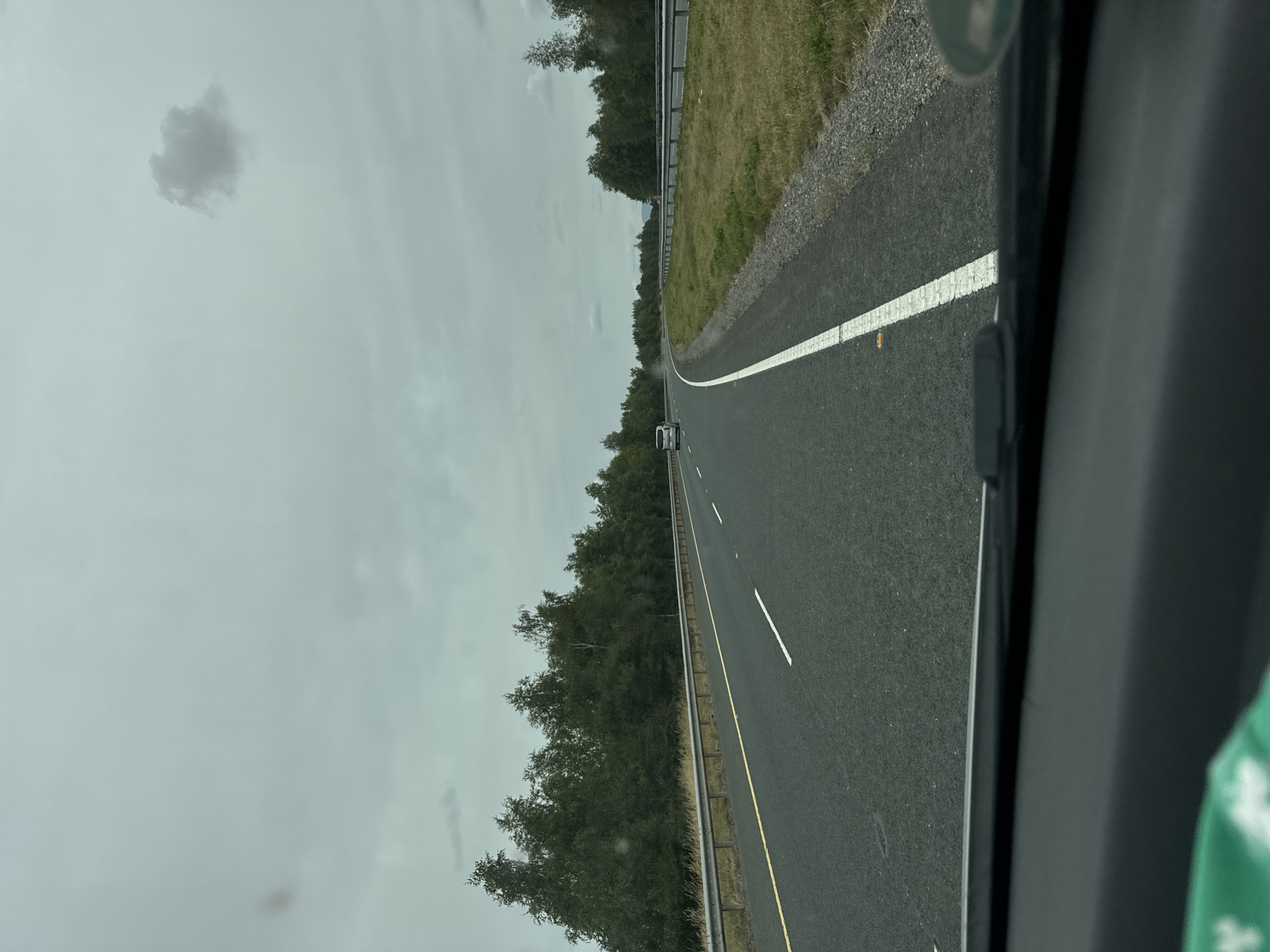 The image depicts a view from a vehicle traveling on a highway in Ireland, under an overcast sky. The road, a dual carriageway with distinct white and yellow lane markings, curves gently to the right in the distance. On the left side of the road, a metal guardrail separates the highway from a dense line of dark green trees and brush, with some dry grass in the foreground. On the right, a similar guardrail runs alongside a grassy verge and a gravel shoulder. A single silver car is visible in the distance, traveling in the same direction. The sky is filled with soft gray clouds, with a small, darker cloud formation visible in the upper right quadrant. The foreground shows the edge of a car's dashboard and windshield. Based on the terrain and vegetation, this scene is consistent with a rural highway in County Carlow, Ireland, potentially near Tinryland.
