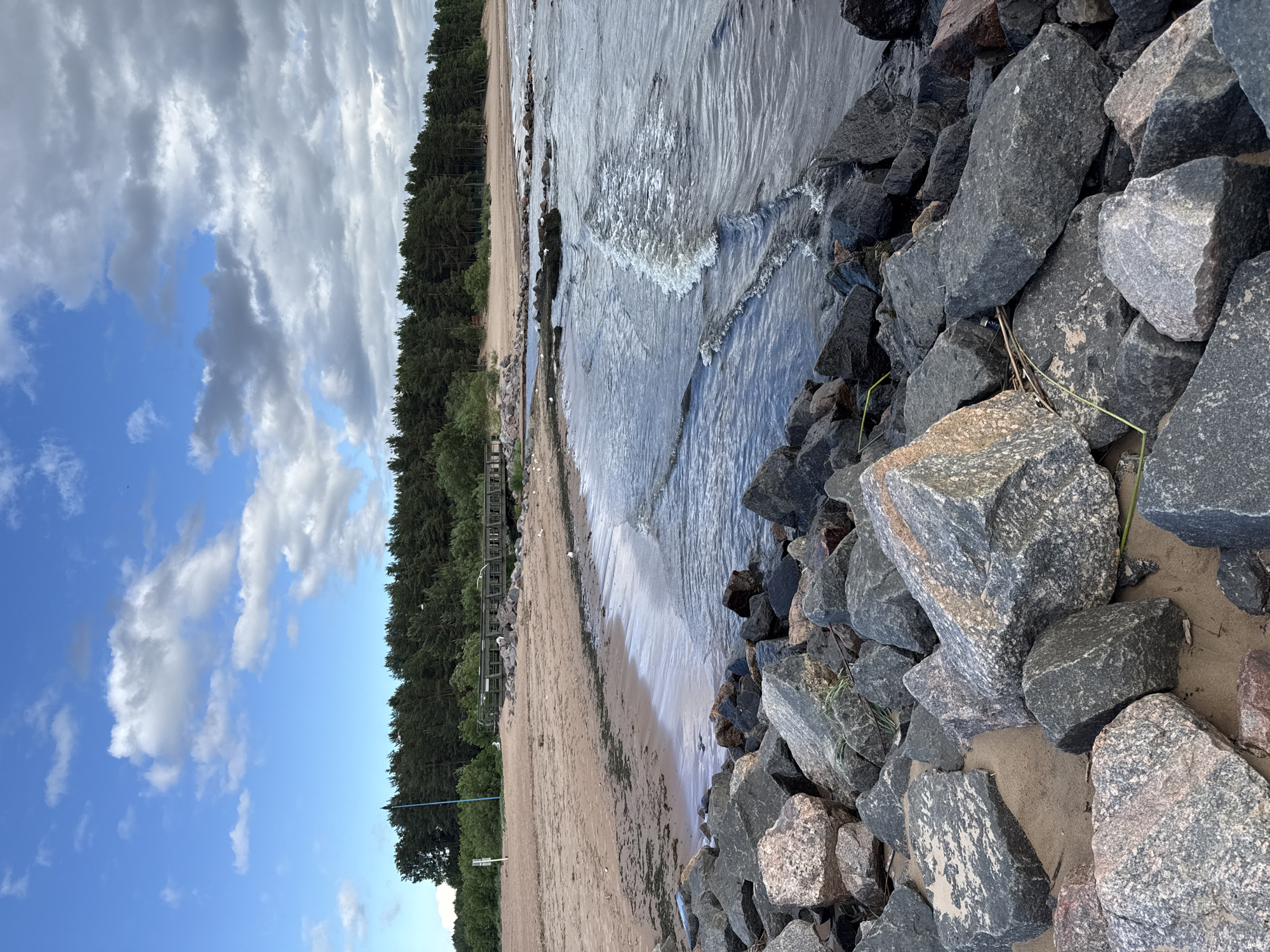 A rocky shoreline in Sestroretsk, Russia, features a sandy beach dotted with seaweed and debris. A wooden pier stretches across the sand towards a dense pine forest bordering the beach. The water is calm with small waves, and several seagulls are present on the shore. The sky is partly cloudy with a mix of blue sky and grey clouds. The foreground is dominated by large, grey and pinkish rocks of various sizes scattered on the sand.