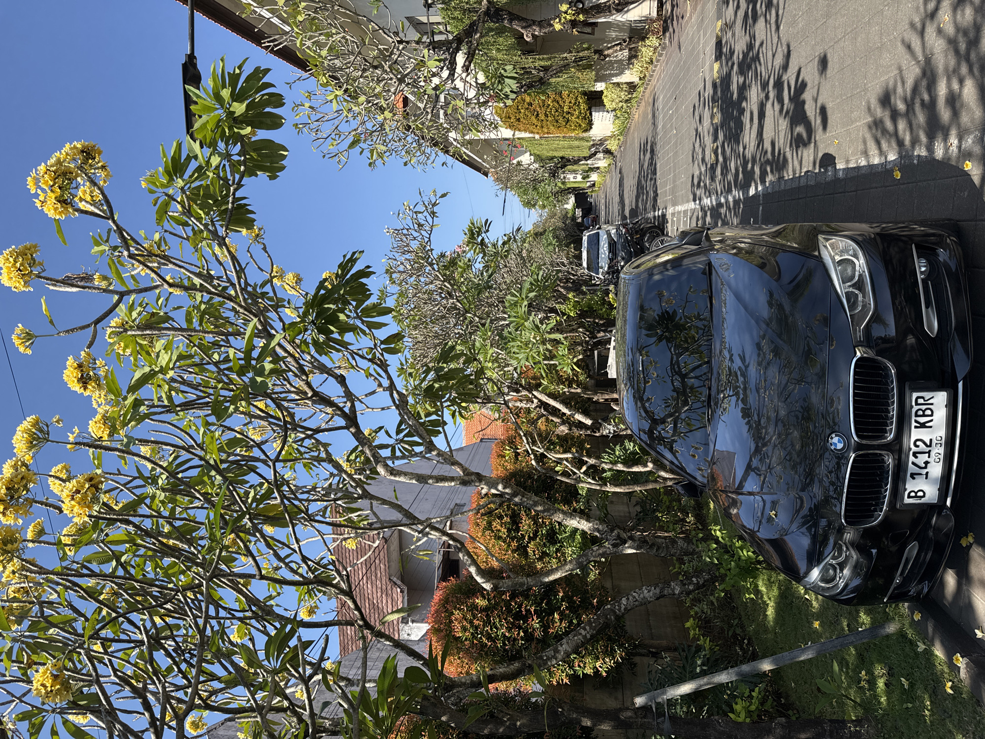 In Denpasar, Indonesia, a black BMW sedan is parked on a paved street lined with trees and houses. The car's front is visible, displaying its license plate, "B 1412 KBR", and the BMW logo. Trees with yellow flowers and green leaves overhang the street, casting shadows on the pavement. The sky is clear and blue. Other vehicles, including a white car and motorcycles, are parked further down the street. The buildings on either side of the street have tiled roofs and walls of varying colors. Lush vegetation, including red-leafed bushes and hanging plants, borders the properties. The scene appears to be a residential street in a tropical urban environment.