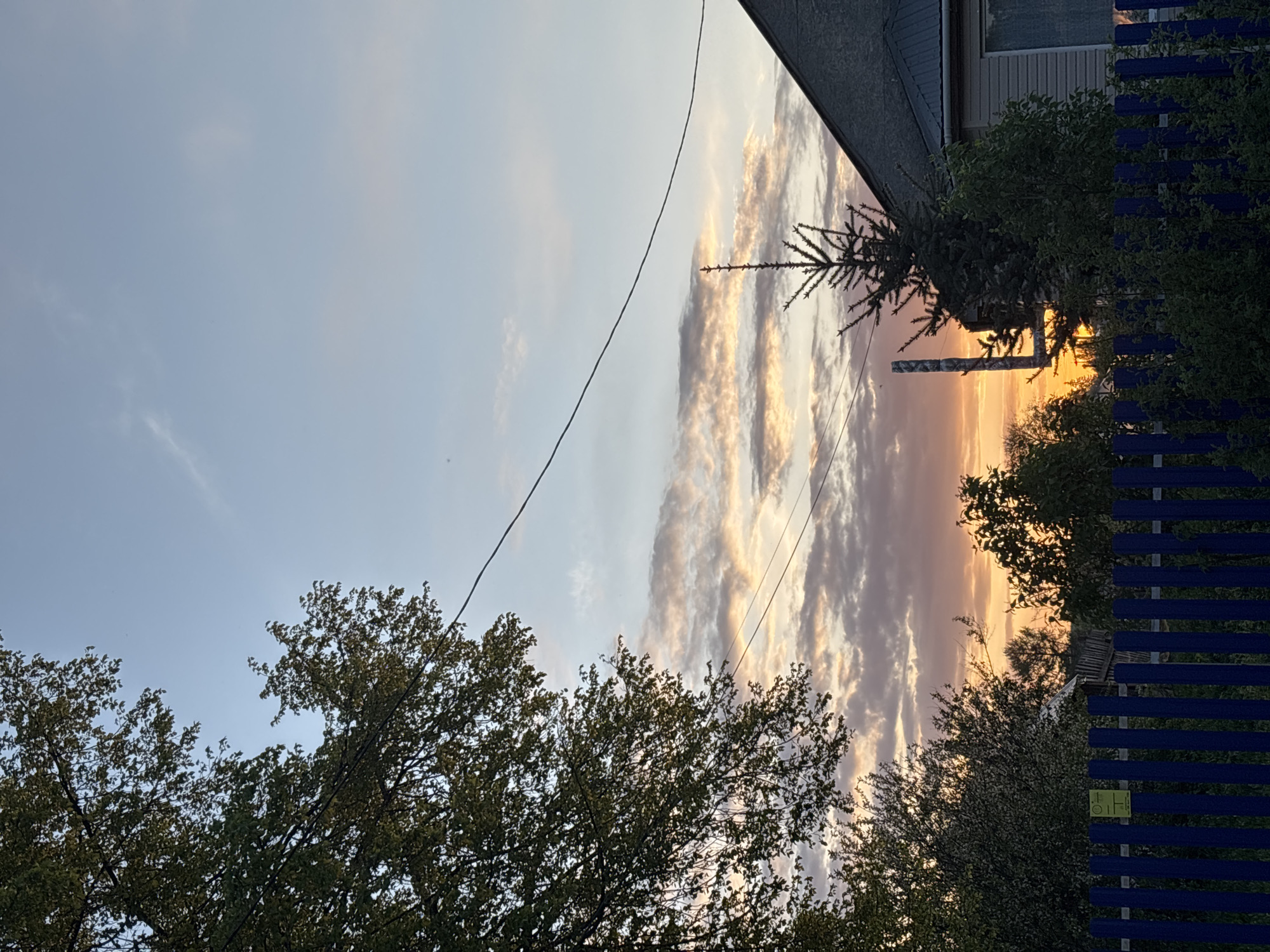 The image, potentially taken in Фоки, Russia, shows a dusk or dawn scene. The sky is transitioning from a light blue to shades of orange and purple near the horizon, with layered clouds illuminated by the setting or rising sun. A power line stretches diagonally across the sky. In the foreground, treetops frame the scene. A portion of a building roof is visible in the upper right corner, along with a dark green evergreen tree. A blue fence appears on the right side of the image, bordering foliage. The scene overall conveys a sense of tranquility in a residential area.