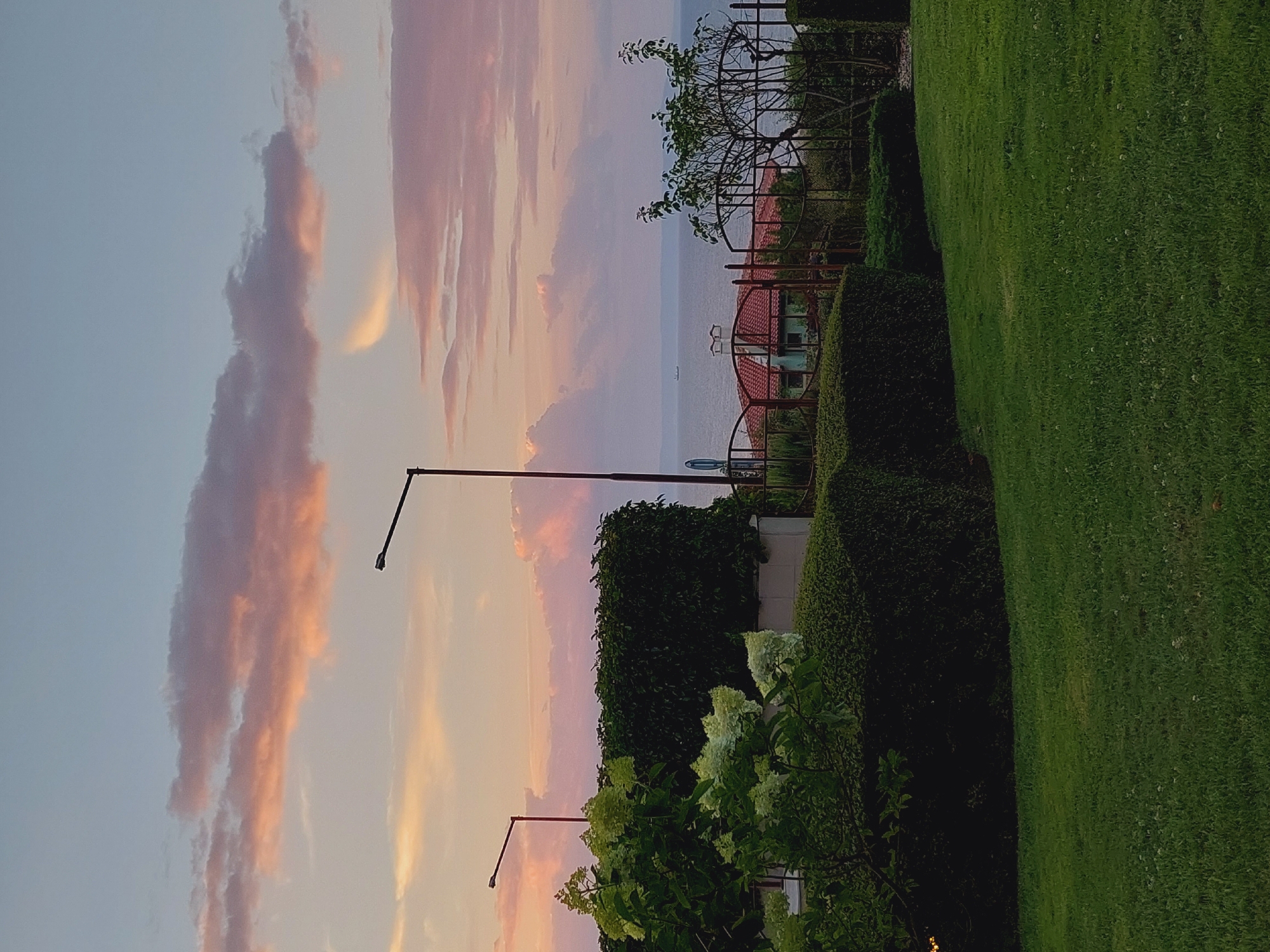 This image depicts a sunset scene in Sozopol, Bulgaria. In the foreground, a neatly manicured lawn is visible, bordered by meticulously trimmed hedges. To the left, a flowering bush with white blooms adds a touch of natural beauty. Further back, a dense, dark green hedge forms a backdrop, partially obscuring a building with a red-tiled roof. Two streetlights stand tall, one to the left and one in the middle ground. Beyond the hedges and buildings lies the tranquil Black Sea, with a distant ship visible on the horizon. The sky is painted with soft hues of pink and orange from the setting sun, illuminating the scattered clouds. The overall impression is one of serenity and natural beauty.