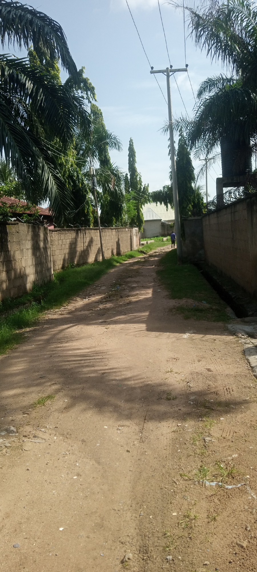 An outdoor, eye-level, vertical, medium shot captures a dirt road in Jalingo, Nigeria. The road is lined on both sides by a grey brick wall, with patches of green grass growing at its base. Palm trees with dark green fronds arch over the road, casting shadows on the dusty ground. Beyond the wall on the left, a red-roofed building is visible, partially obscured by foliage. On the right, the wall continues, with a dark, narrow drain running alongside it. In the distance, a person wearing a blue shirt and dark pants walks away from the camera. Several tall, thin trees with vibrant green foliage stand further down the road. A utility pole with wires stretches across the bright blue sky, which is dotted with sparse, white clouds. The overall scene depicts a residential area with a slightly neglected feel.