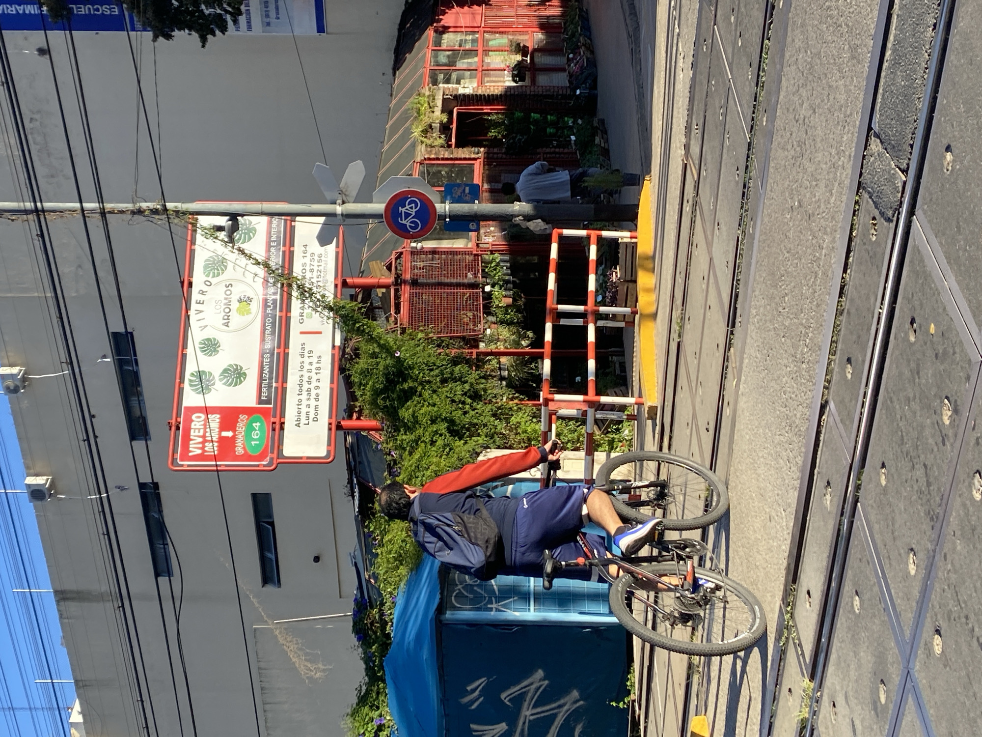 The image shows a man on a bicycle crossing railroad tracks in front of "Vivero Los Aromos" (a plant nursery) at Granaderos 164 in Buenos Aires, Argentina. The nursery's sign is prominently displayed, advertising plants, fertilizers, and hours of operation. The man is wearing a blue jacket and shorts with blue and white sneakers. The railroad tracks are laid out with a series of dark gray slabs and are protected by a barrier of white and red posts and a yellow curb. Wires stretch overhead, and a building with a red facade and plants is visible behind the barrier.