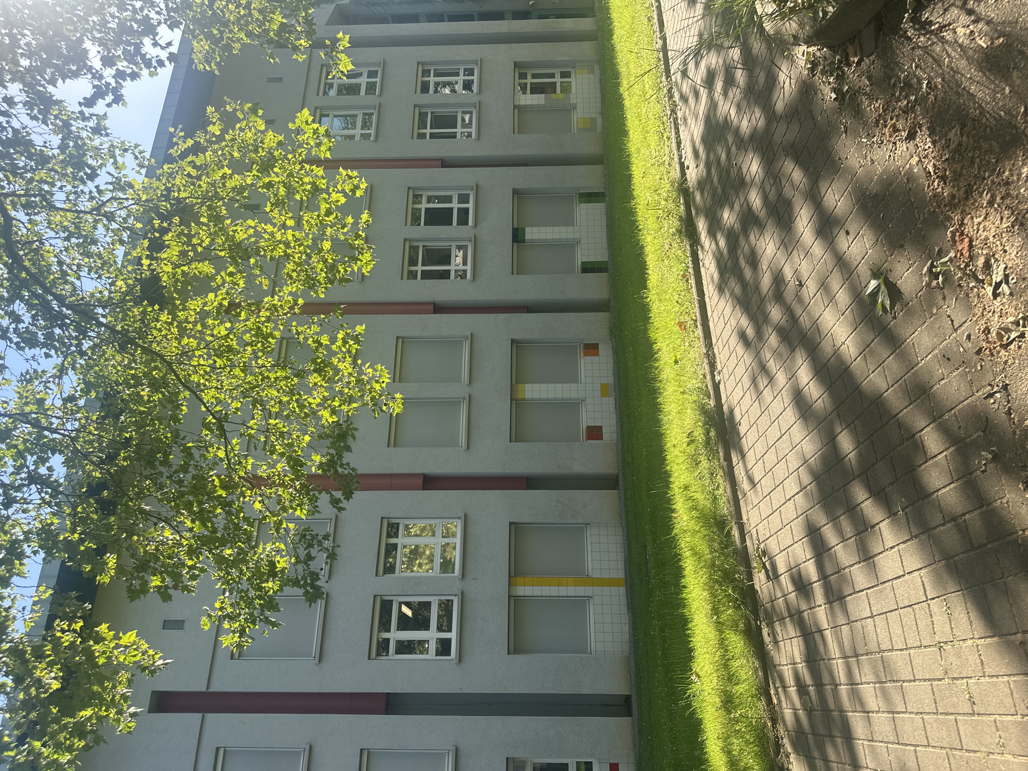 The image depicts the facade of a light grey, multi-story building with a dark roof. The building has numerous windows, some with white frames and clear panes, and others with what appear to be roller blinds or opaque covers. Vertical red rectangular panels are visible on the facade between sections of windows. Below some of the lower windows, there is a decorative band of small, square tiles in various colors, including yellow, green, red, and white.
In front of the building is a strip of bright green grass, which slopes upwards from a paved walkway. The walkway is made of light-colored interlocking rectangular pavers, and it is partially covered in dappled sunlight and shadows cast by overhead foliage.
Above the building, the upper branches of a tree with vibrant green leaves are prominently displayed, their leaves illuminated by sunlight. The sky above is a clear blue. The scene appears to be an exterior shot on a sunny day, possibly in a suburban or institutional setting. No people are visible in the image.