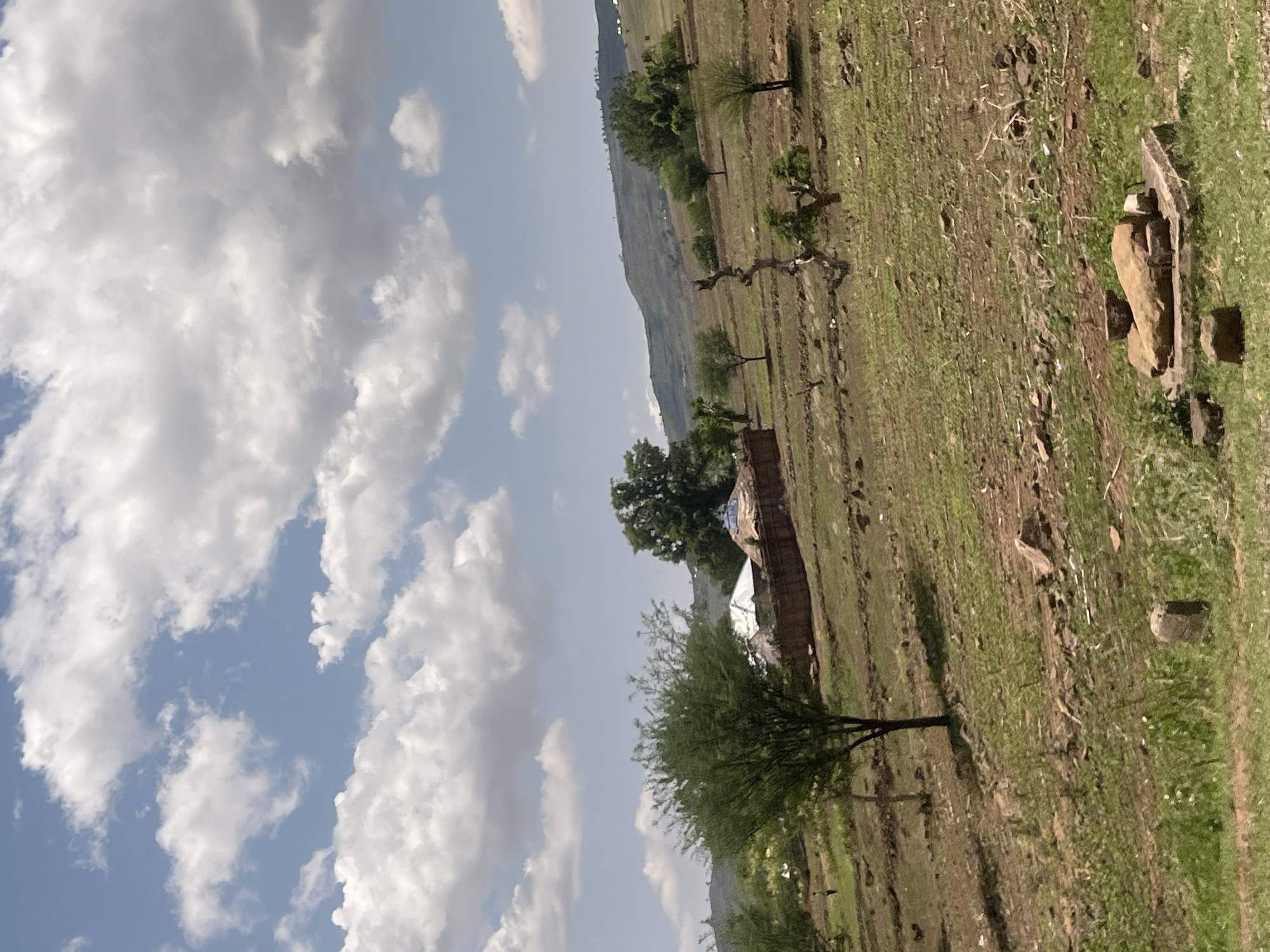 The image displays a rural landscape, identified as Chum, Nigeria, under a clear blue sky with scattered white cumulus clouds. The foreground and midground consist of a sloping terrain featuring exposed reddish-brown soil mixed with sparse green vegetation, exhibiting visible terracing patterns. In the midground, several structures are present: a circular dwelling with a conical roof, partly covered by a blue tarp, situated behind a low enclosure, and an adjacent structure with a light-colored corrugated roof. Various trees are dispersed throughout the scene, including a tree with dense green foliage in the left-midground and a weathered, gnarled tree trunk in the right-midground. A distant, multi-tiered hill range forms the background. A small, indistinct human figure is observed in the left-midground. The immediate foreground contains an arrangement of natural stones atop a low, rectangular base, alongside a solitary upright stone block.