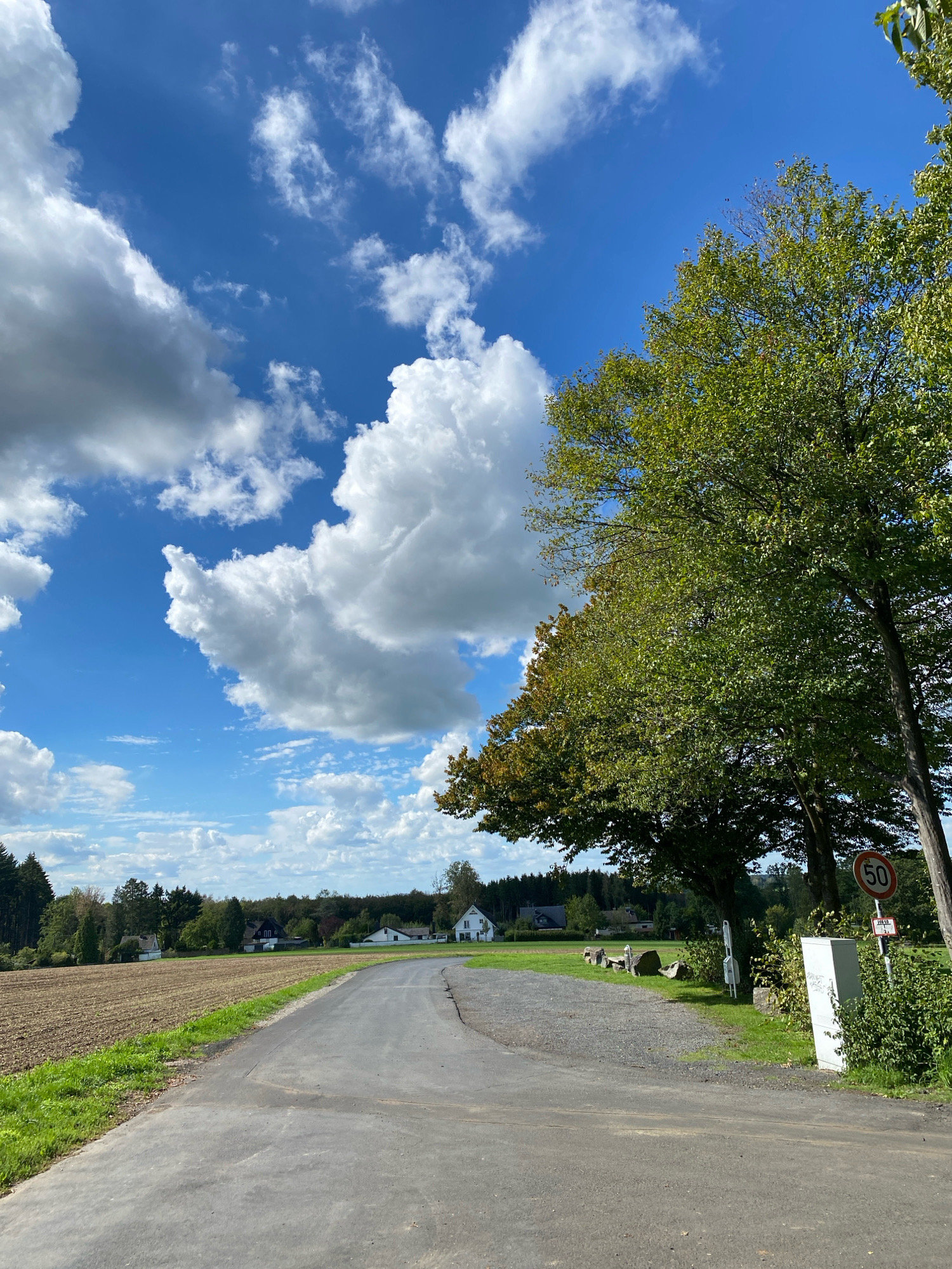 The image depicts a rural road in the vicinity of Altenkirchen, Germany. The road curves slightly to the left and leads into a landscape dotted with trees and houses. To the left of the road, a field of tilled earth is visible, bordered by a strip of green grass. On the right side of the road, a cluster of trees stands prominently, with one tree showing some autumnal coloration. A circular speed limit sign indicating "50" is affixed to a post to the right, alongside other signs and a utility box. In the background, several houses are nestled among the trees and rolling terrain. The sky is a vibrant blue, adorned with scattered white cumulus clouds. The overall scene conveys a peaceful, open, and rural atmosphere.