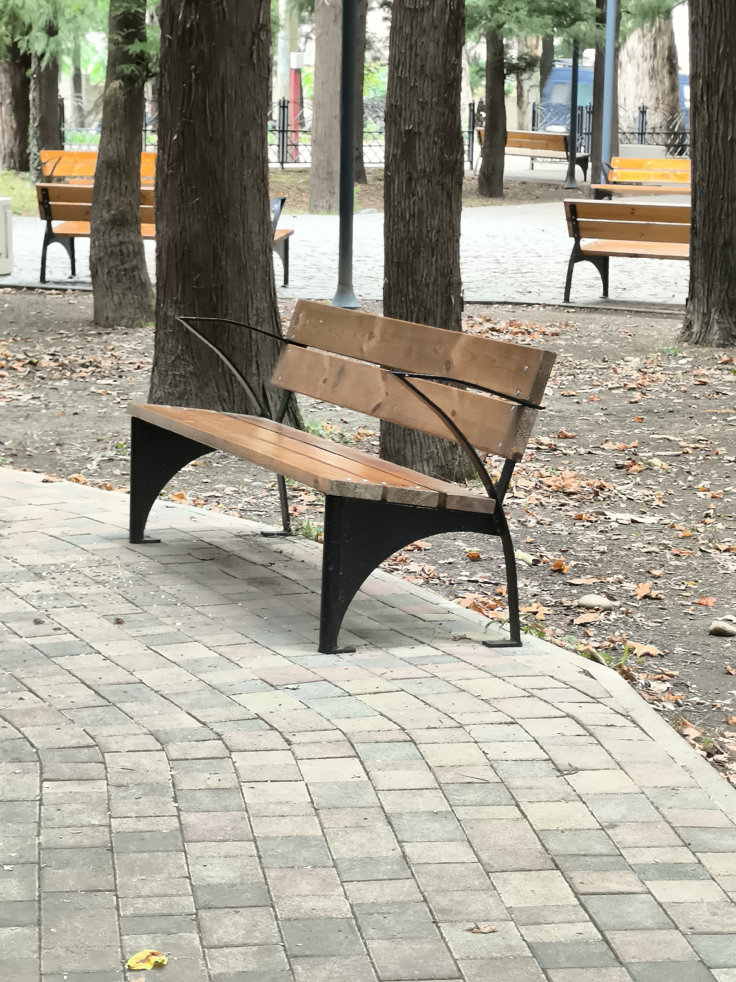 A wooden park bench with black metal legs is positioned on a paved walkway in Batumi, Georgia. The bench is empty. The walkway is made of rectangular pavers in varying shades of gray and tan, laid in a curved pattern. Fallen leaves are scattered on the ground surrounding the walkway and beneath the trees. Several trees with rough bark are visible behind the bench, and more trees and park benches can be seen in the background. The environment suggests an outdoor park setting in the city of Batumi.