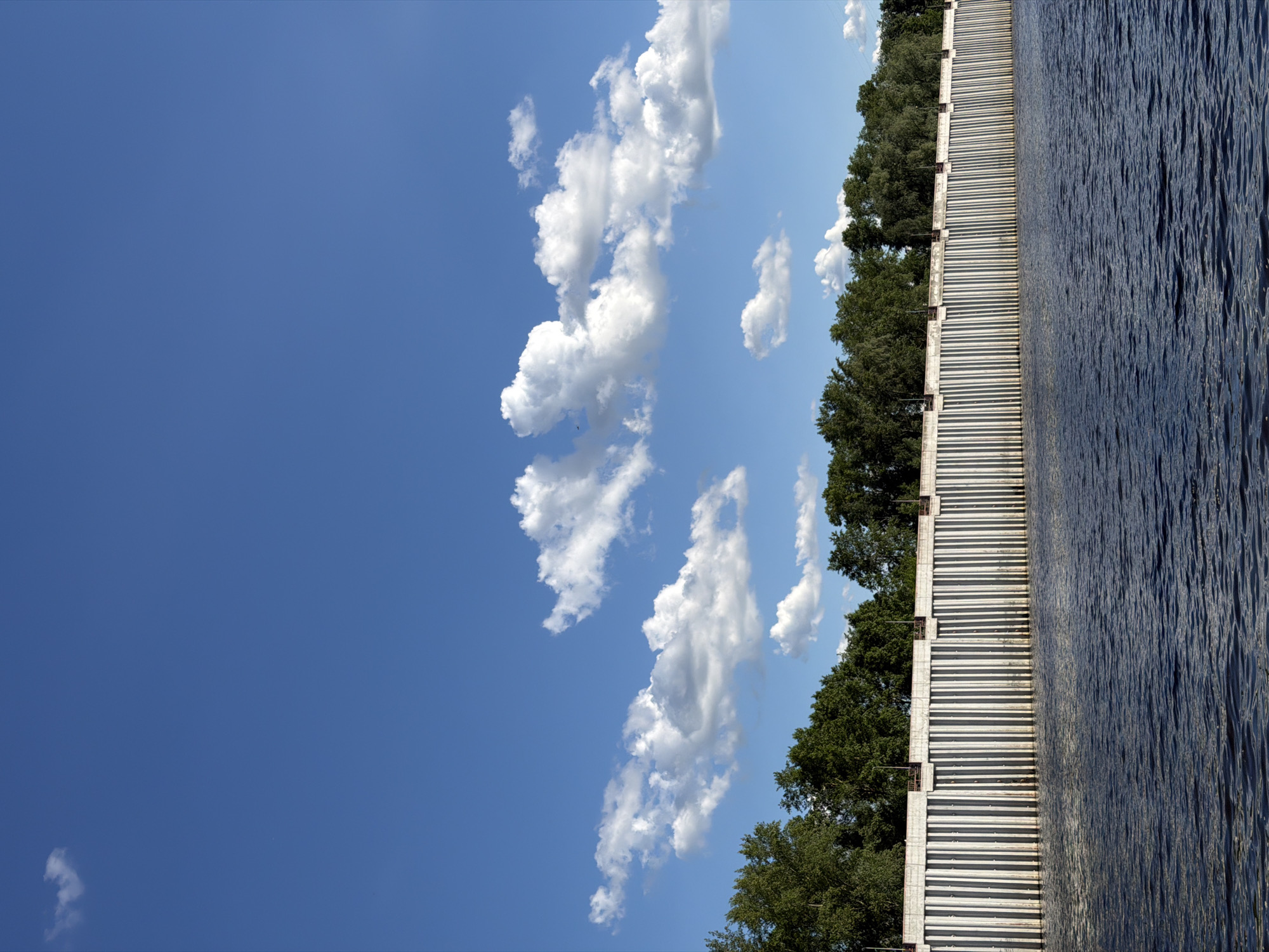 The image presents a view of a waterscape, seemingly a river or reservoir, taken in what may be the city of Chaikovsky, Russia, given the prompt. Along the right edge is a structured, gray, corrugated metal retaining wall separating the water from a line of green trees above. The body of water exhibits moderate surface agitation, suggesting a gentle breeze. Above the trees and wall, the sky transitions into a clear, azure blue, scattered with white, puffy cumulus clouds primarily in the central area. The scene is captured under bright daylight conditions.