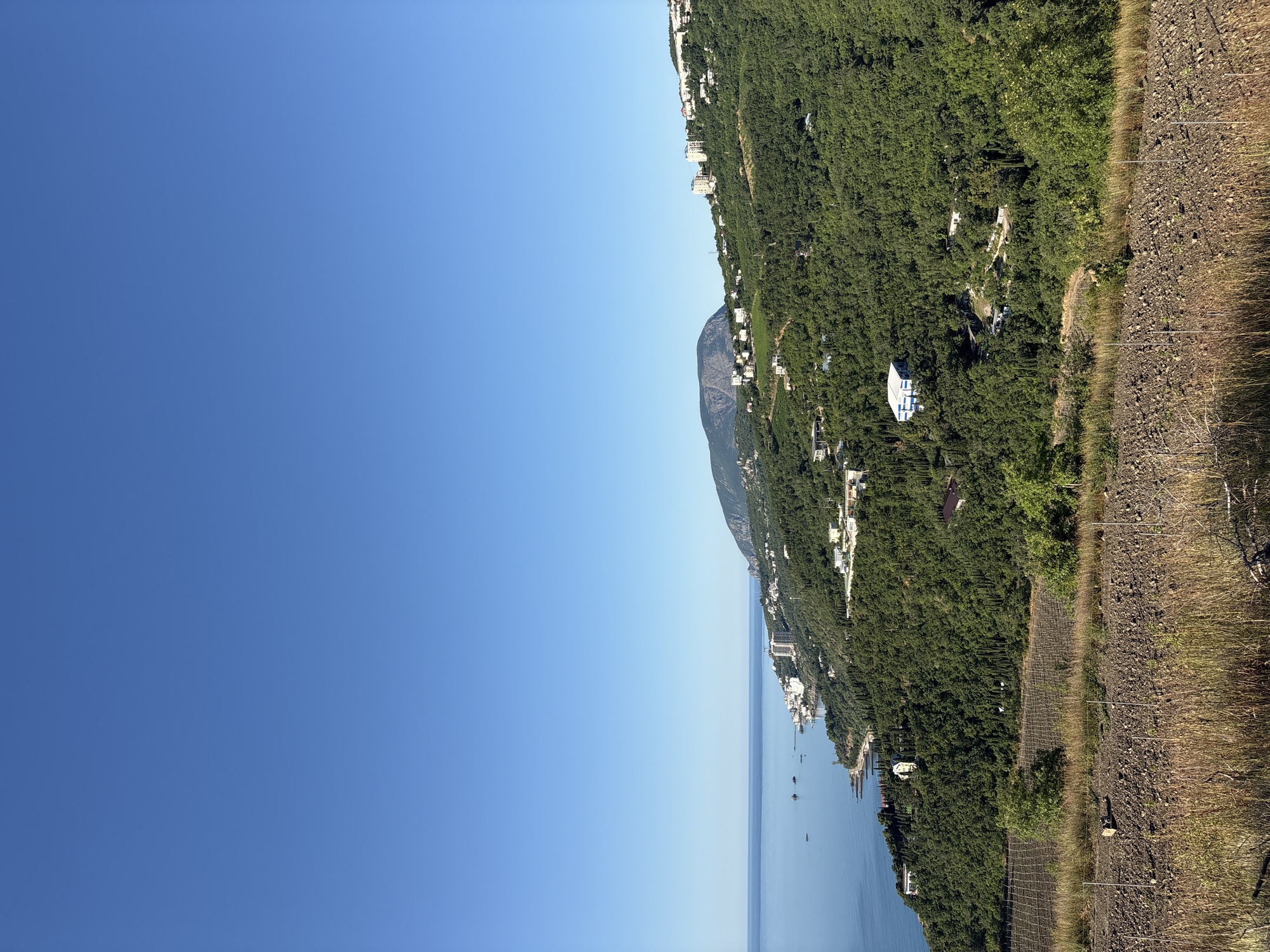 This image captures a panoramic view of the coastal city of Lazurnoe, Ukraine, under a clear blue sky. The foreground features a terraced hillside with dry grass and a low fence, suggesting agricultural or undeveloped land. Beyond this, a dense forest of green trees covers the undulating terrain of the mountainside. Scattered throughout the trees are several white buildings, including a distinctive modern building with blue accents and a larger, multi-story white structure closer to the coast. The coastline itself is visible to the left, with the calm, blue sea meeting the shore. Along the coast, a strip of white buildings forms the town, with some structures appearing to be hotels or resorts. A prominent mountain with a flat top rises in the distance to the left of the frame, overlooking the town and the sea. The overall scene is one of a peaceful, scenic coastal landscape.