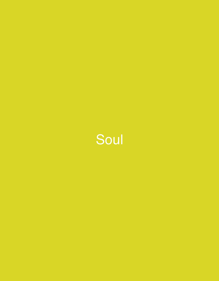 The image presents a solid, uniform field of bright yellow, serving as the entire background. Centrally positioned within this yellow field is the English word "Soul," rendered in white, uppercase, sans-serif typeface. There are no other discernible objects, subjects, people, or environmental details within the scene. The image is abstract and provides no specific geographical or contextual information beyond the word and color.