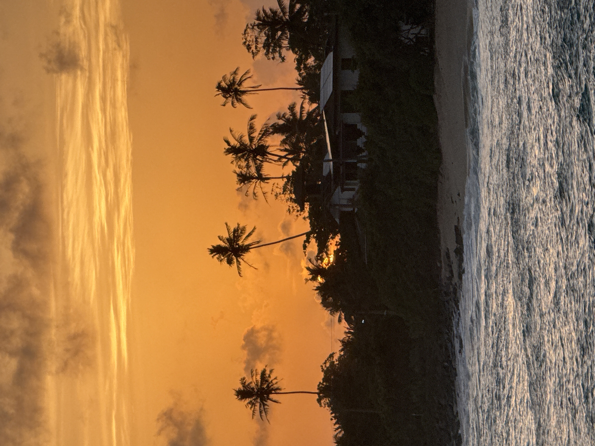 This image captures a serene sunset scene on a tropical beach in Midigama, Sri Lanka. The sky is ablaze with warm hues of orange and yellow, transitioning into darker shades as clouds drift across. Tall palm trees, silhouetted against the vibrant sky, line the shore, their fronds swaying gently.
In the background, a simple, white building with a dark roof is nestled among dense green foliage, suggesting a coastal dwelling or a small resort. The beach itself appears narrow, meeting the ocean's edge. The sea is a prominent feature, with waves rolling in, their surfaces catching the fading sunlight, creating a textured, shimmering effect. The light on the water suggests it is either early morning or late evening.
The overall mood is tranquil and peaceful, characteristic of a tropical sunset. The scene evokes a sense of natural beauty and relaxation, a perfect moment captured at the end of the day. There is no visible text in the image.