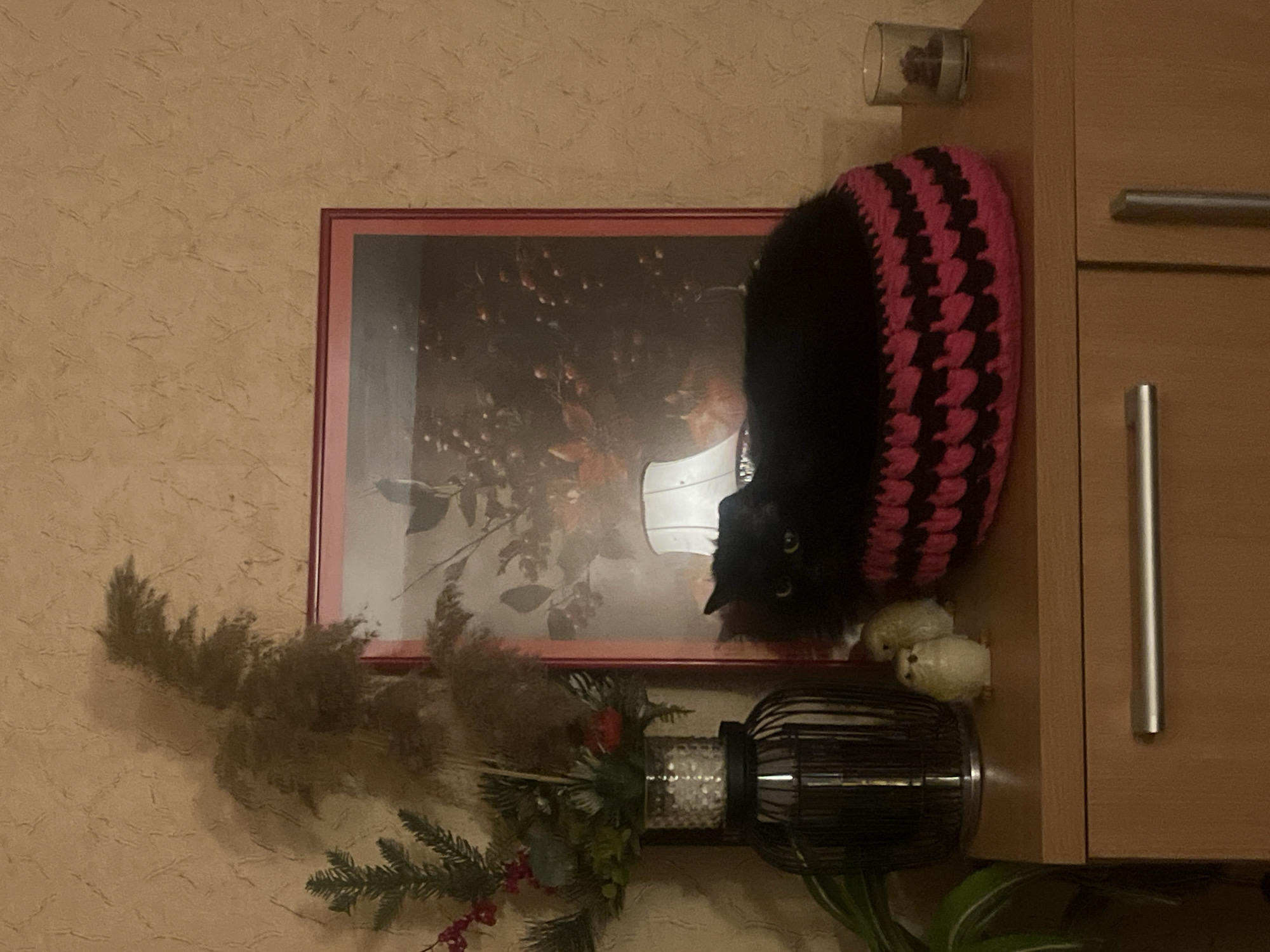 A black cat with piercing green eyes is perched atop a framed picture that is hanging on a wall next to a wooden cabinet with silver handles. The cat is partially obscured by a pink and black crocheted hat. Below the picture frame, there is a decorative arrangement consisting of dried reeds, pine needles, red berries, and a cylindrical lantern. The backdrop features beige-colored textured wallpaper. The photograph does not contain location information, and it is impossible to determine if the photograph was taken in Sofia, Bulgaria.