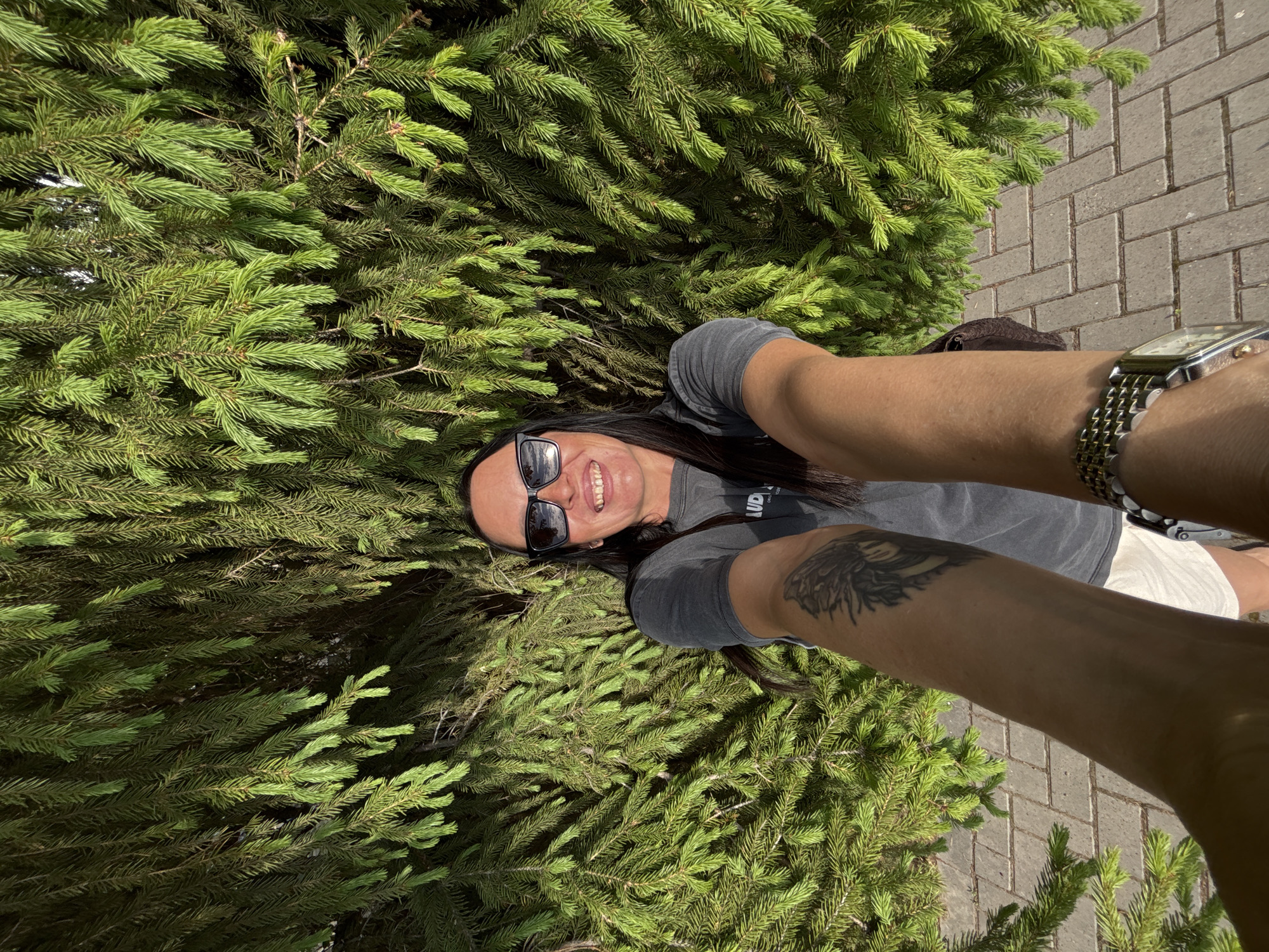A selfie taken at an angle, shows a smiling woman with long dark hair and sunglasses lying in the branches of a green coniferous tree in Izhevsk, Russia. The woman is wearing a gray t-shirt and white shorts. The woman has a tattoo on her left forearm. Her right arm is extended, displaying a metallic wristwatch. The background consists of a gray brick walkway.