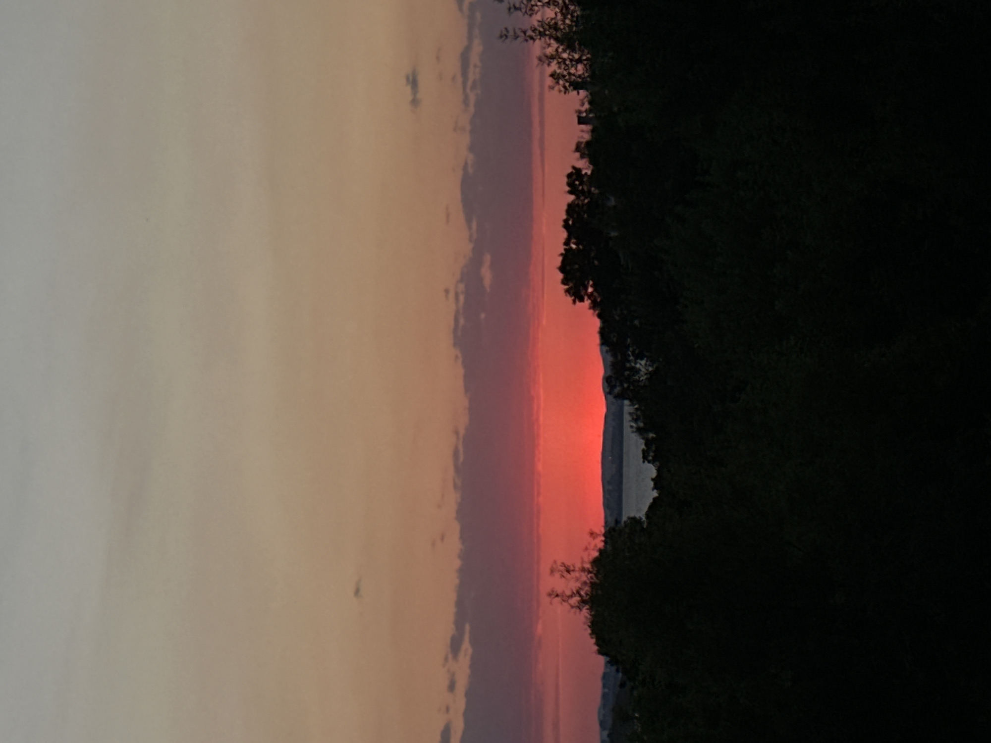 The image shows a sunset over the Black Sea, viewed from Chernomorets, Bulgaria. The sky is filled with vibrant colors, ranging from deep orange and red near the horizon to soft pink and pale yellow higher up. Silhouetted trees and foliage form a dark band across the lower portion of the image, obscuring the foreground. In the distance, the calm water of the sea is visible, with a faint outline of the land across the bay. The overall impression is one of tranquility and natural beauty as the day ends.