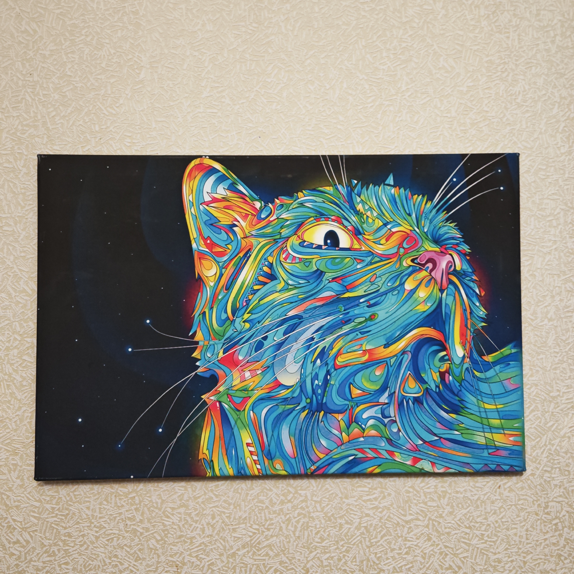 The image depicts a vibrantly colored, psychedelic-style painting of a cat on a canvas, mounted on a wall. The cat's fur is depicted in swirling patterns of blue, yellow, orange, red, and green, set against a dark, starry background. The painting is rectangular in shape and takes up the majority of the frame. The wall behind the painting is off-white with a textured pattern. There are no people visible in the image. There is no indication of the location in the city of Rostov, Russia.