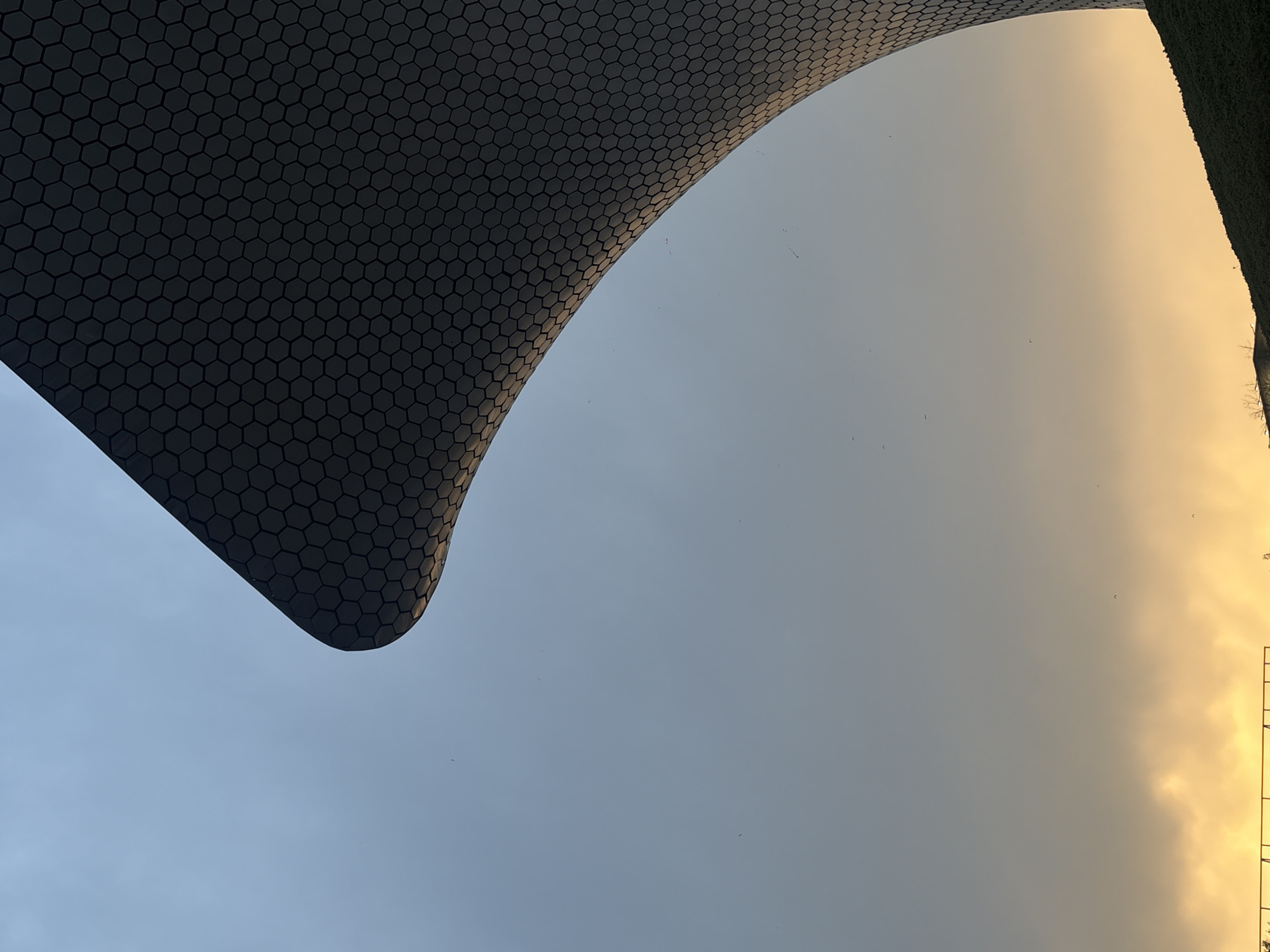The image shows a partial view of the Museo Soumaya in Mexico City, Mexico, from a low angle, tilted perspective. The building's distinctive, curvilinear facade, covered in hexagonal tiles, occupies the upper left portion of the frame. The rest of the frame is filled with the sky, which transitions from a cool blue-gray to a warm, golden hue on the upper right, where vegetation is visible. There are dark objects flying in the sky.