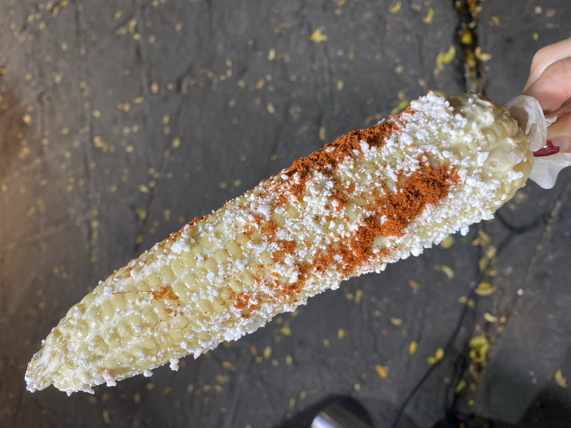 A hand holds an ear of corn coated in white sauce, white cheese, and chili powder over a city street. The corn is predominantly yellow and the toppings are white and red. The street is asphalt or concrete and has several small yellow leaves scattered on it. A small portion of a hand with red nail polish is visible holding the corn. The location is Unknown, Unknown.
