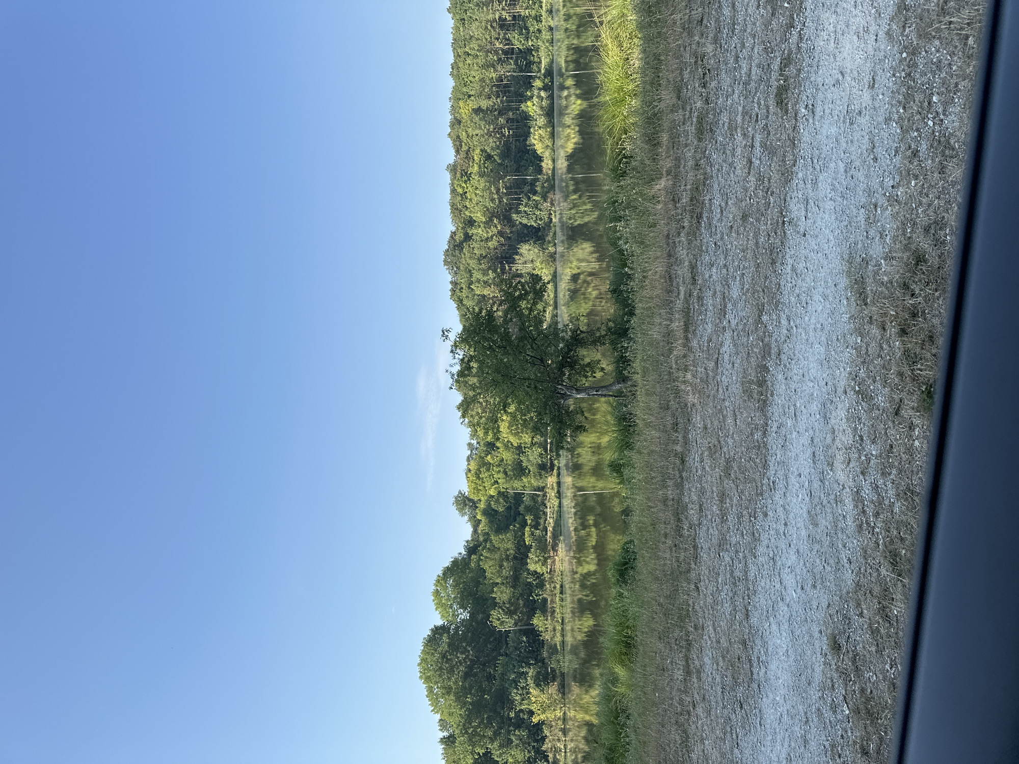 The image shows a serene lake with a lush green forest on the opposite bank. The sky is a clear, bright blue. In the foreground, there is a strip of dry grass and gravel, suggesting a natural or semi-natural setting. The reflection of the trees and sky on the calm water adds to the tranquil atmosphere. There are no people or animals visible in the image. The scene is characteristic of a natural landscape, likely found in or around Makiv, Ukraine, which is known for its picturesque rural environment.
